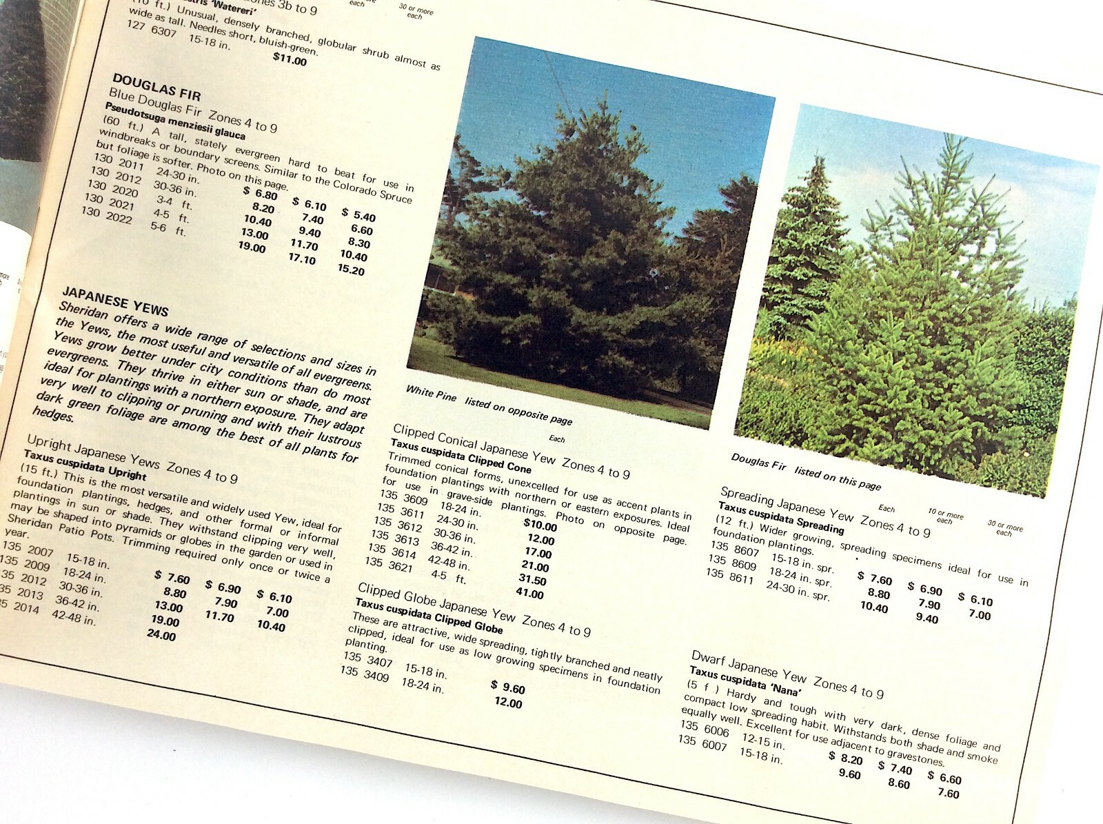 Sheridan Nurseries 1971 Garden Plants Flowers Booklet Guide Catalog L346
