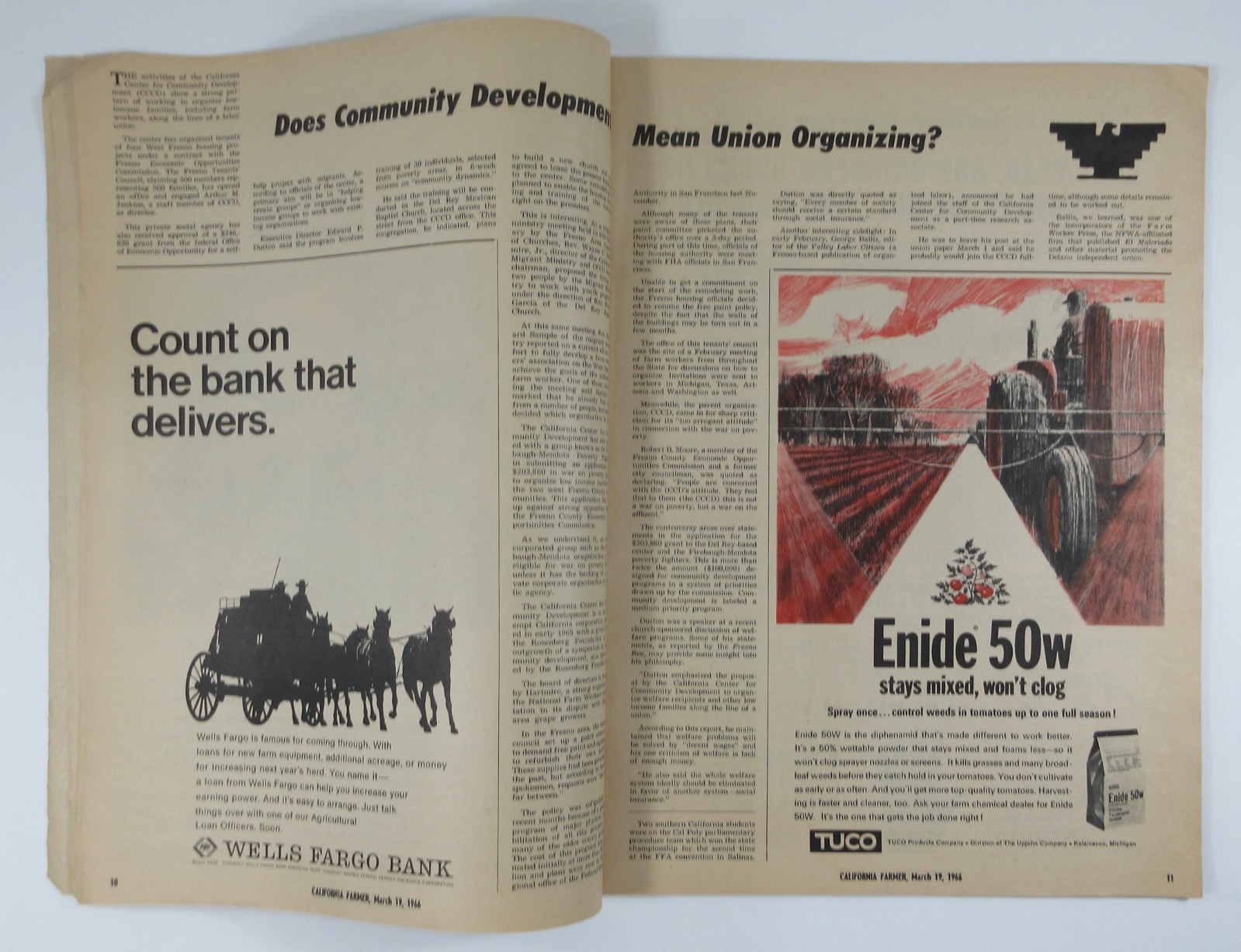 United Farm Workers Grape Boycott Caesar Chavez Farmer Magazine Delano CA 1966