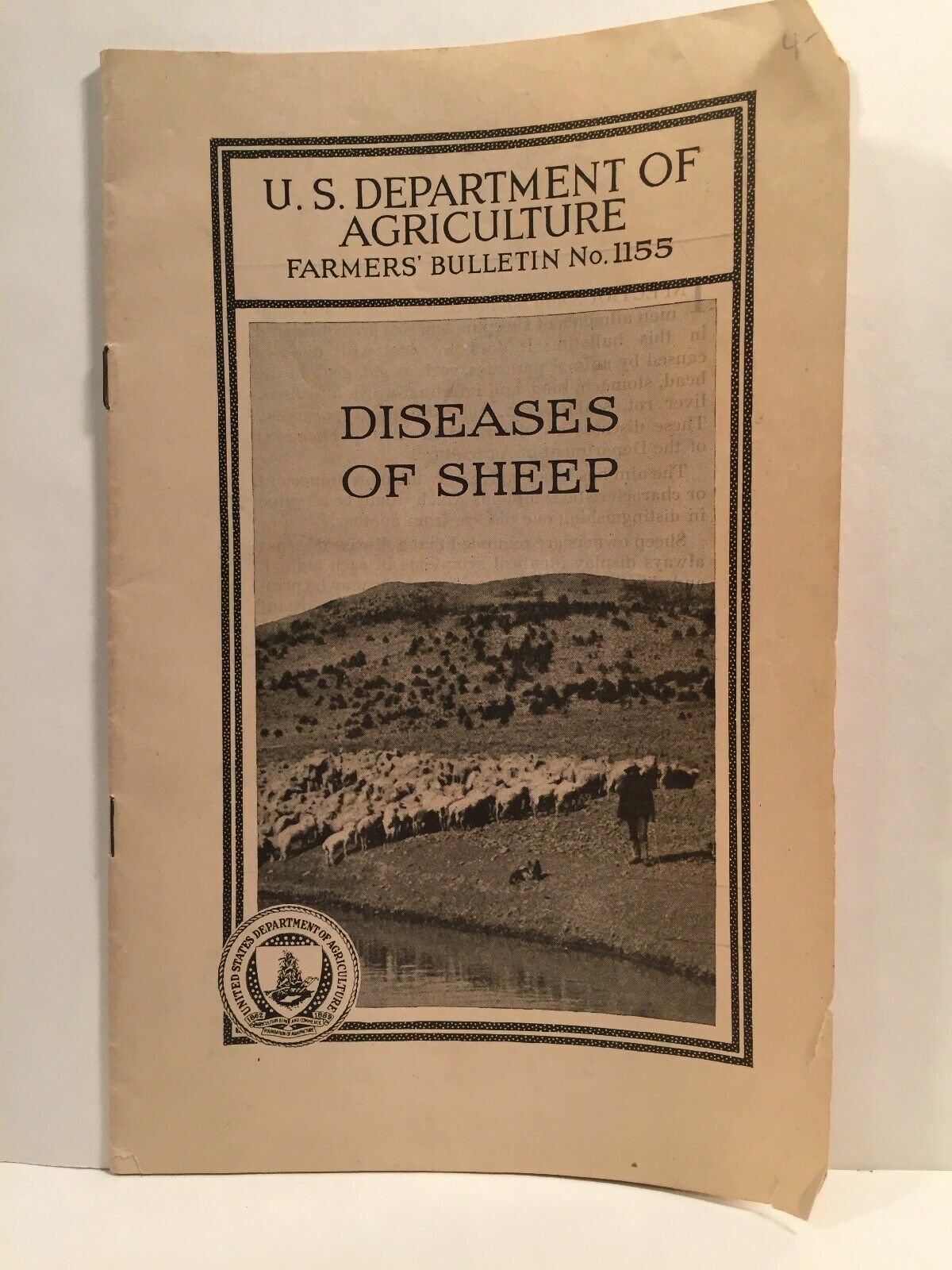 1927 USDA Department of Agriculture Farmers&rsquo; Bulletin No. 1155 Diseases of Sheep