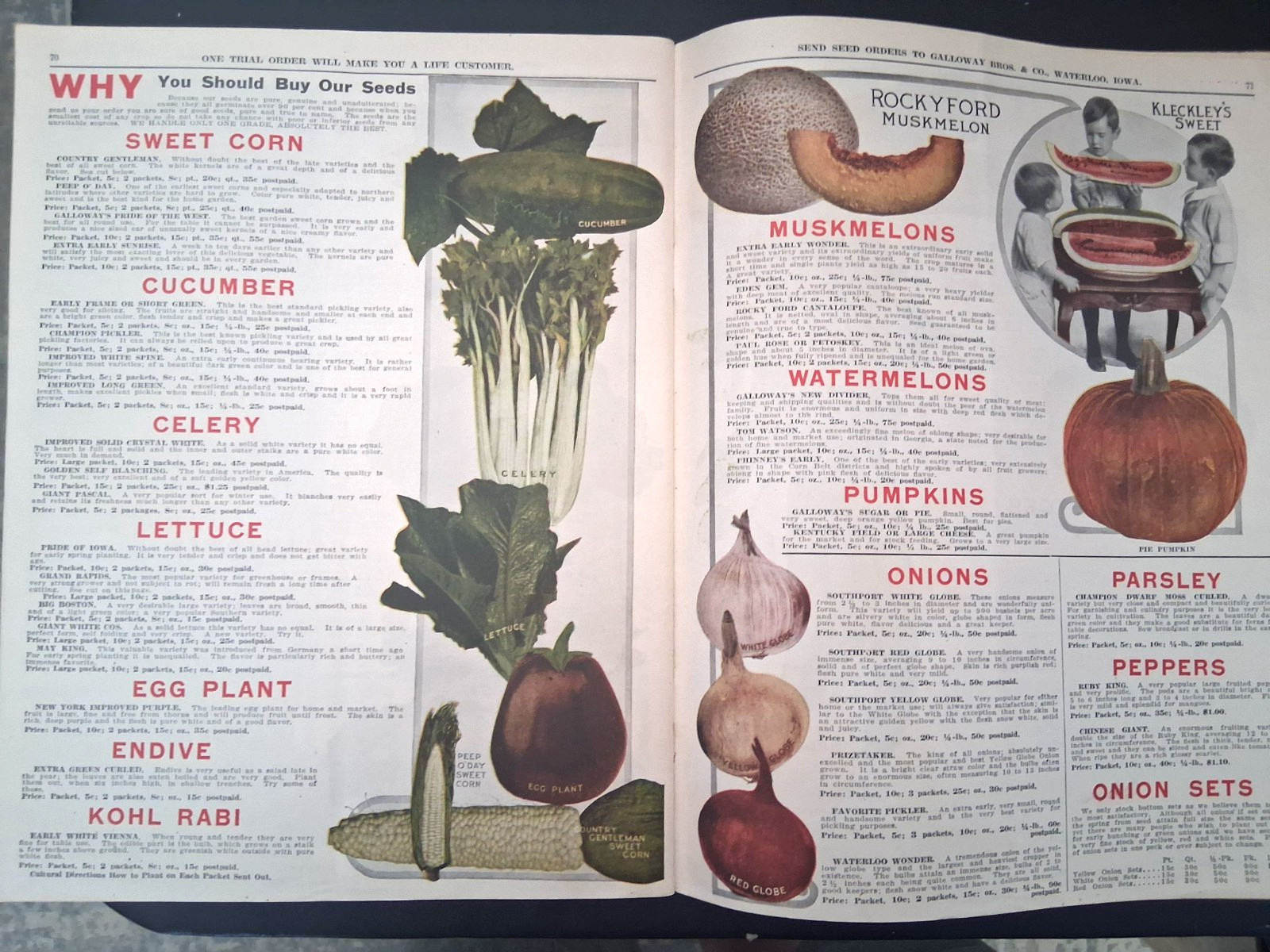1915 Galloway Bros Iowa Catalog Farm Engines Cast Iron Stoves Clothes Color
