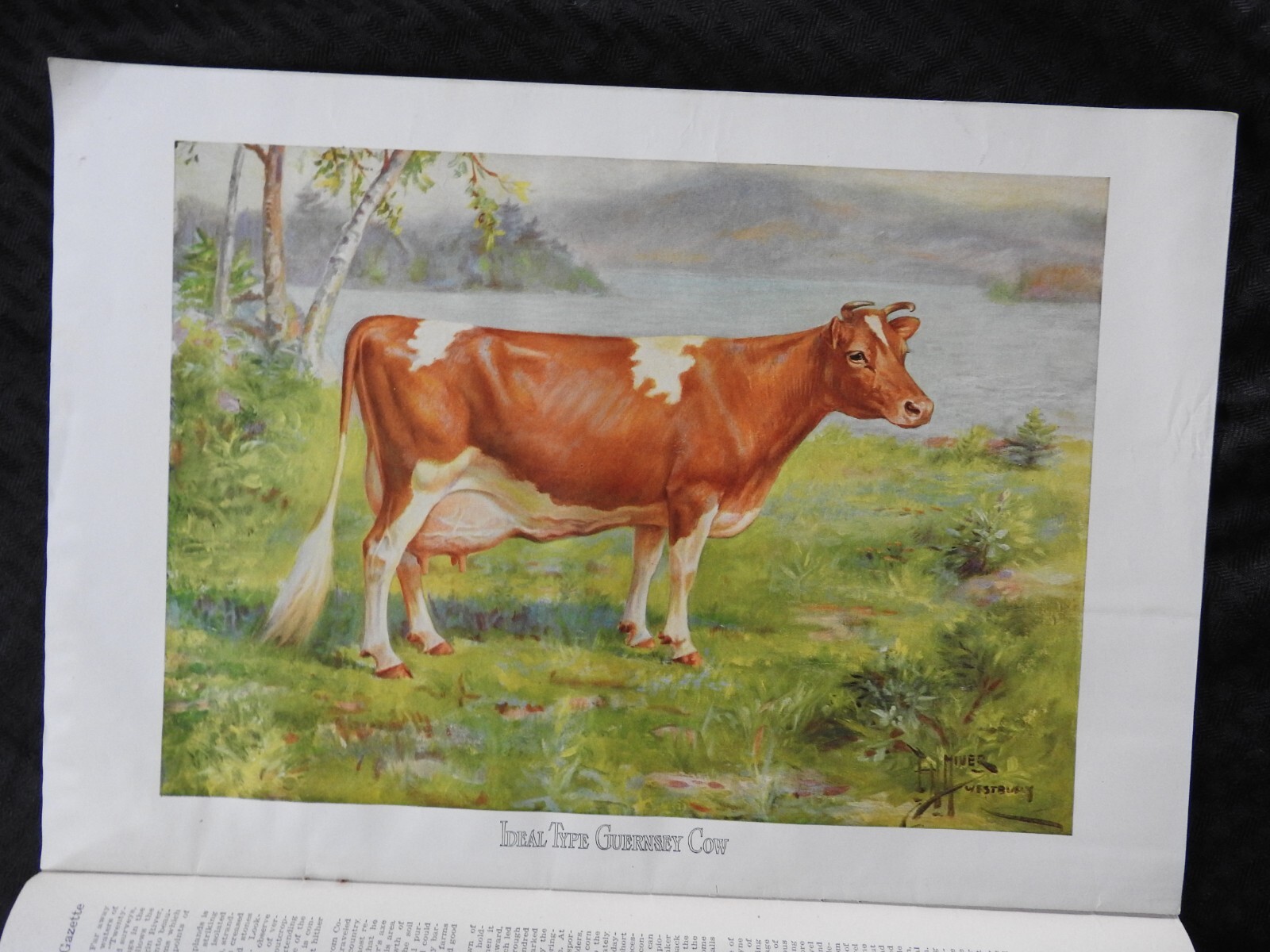 1925 Breeder&rsquo;s Gazette Magazine – cattle rancher farmer horse show VERY GOOD