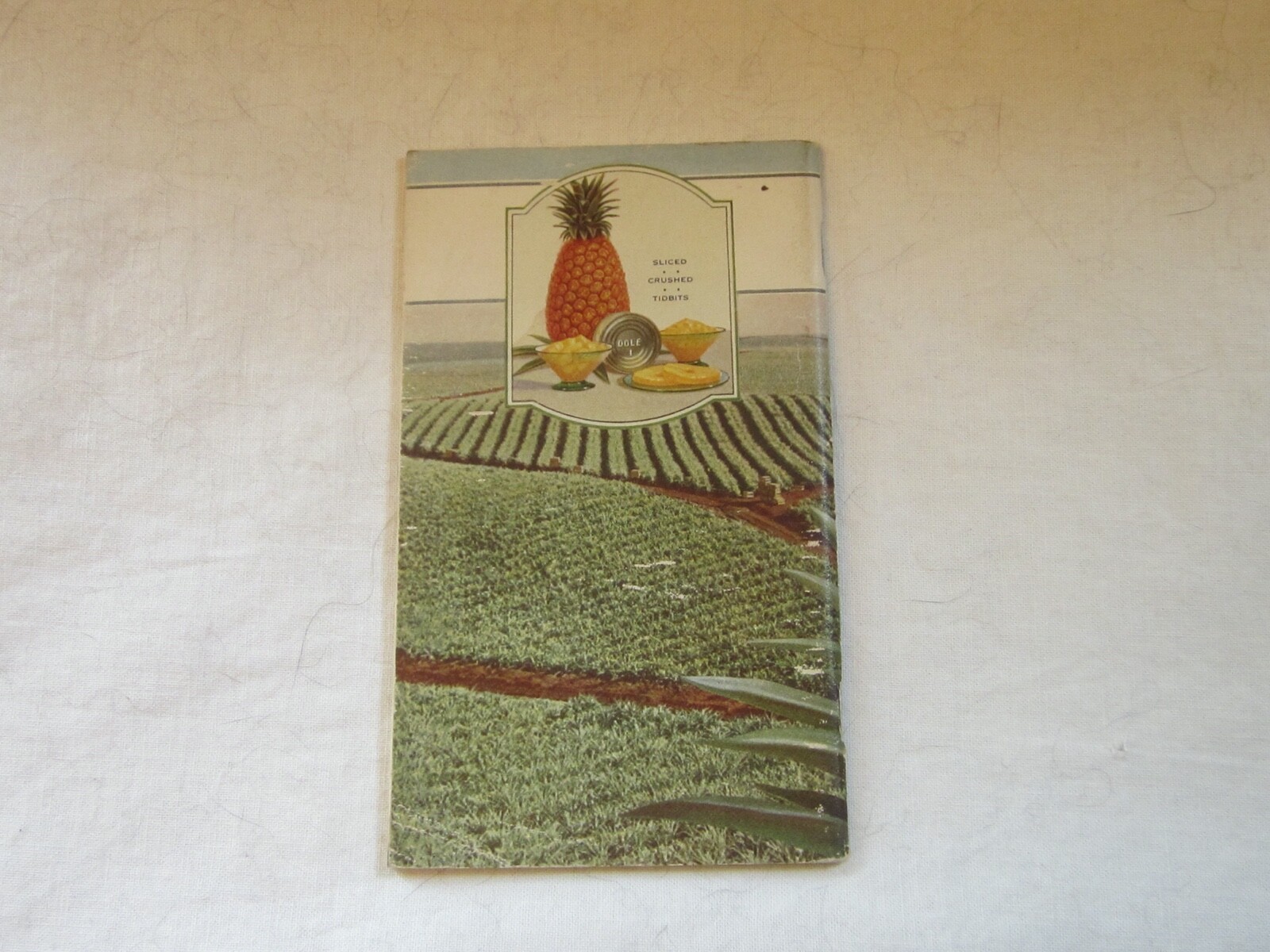 1929 Dole Hawaiian Pineapple Company Pamphlet Book Kingdom Grew from Boys Garden