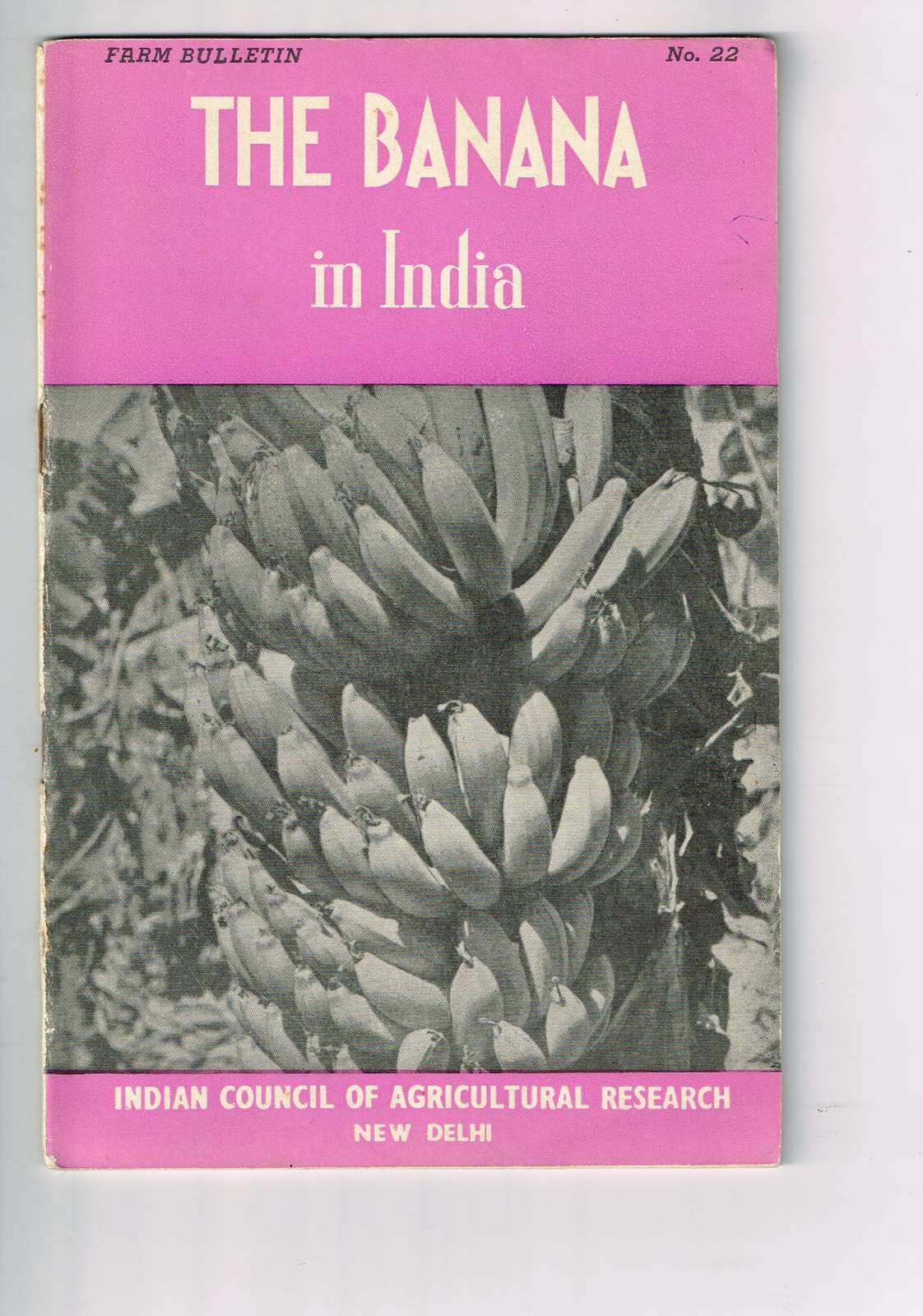 Vintage 1960s Farm Brochure India New Delhi The Banana in India