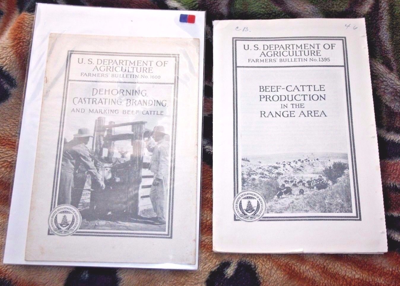 Depart of Agriculture Dehorning Casterating Branding & Beef Cattle Production