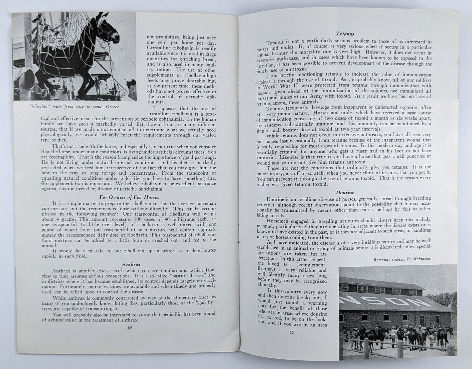 1946 Horse And Mule Association Brochure Preventing And Controlling Diseases