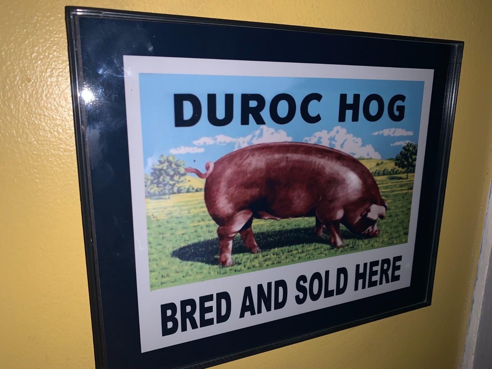 Duroc Hog Breeder Pig Farm Barn Farmer Advertising Sign