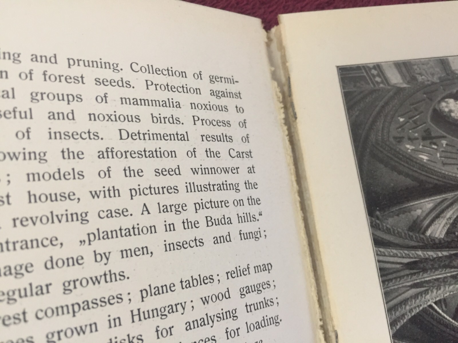 RARE 1914 Guide To Royal Hungarian Agricultural Museum Hungary Farming History