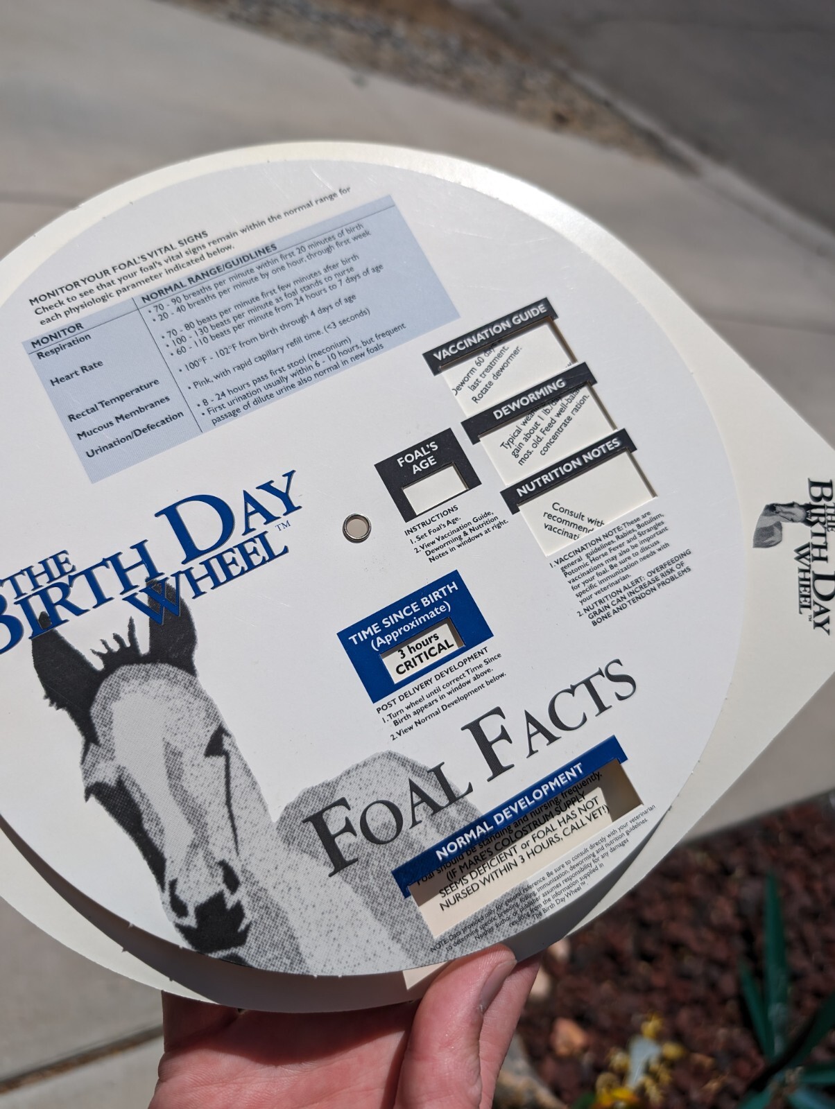 Vintage 1999 Horse Fact Spinner Double Sided The Birth Day Wheel DVM marketing