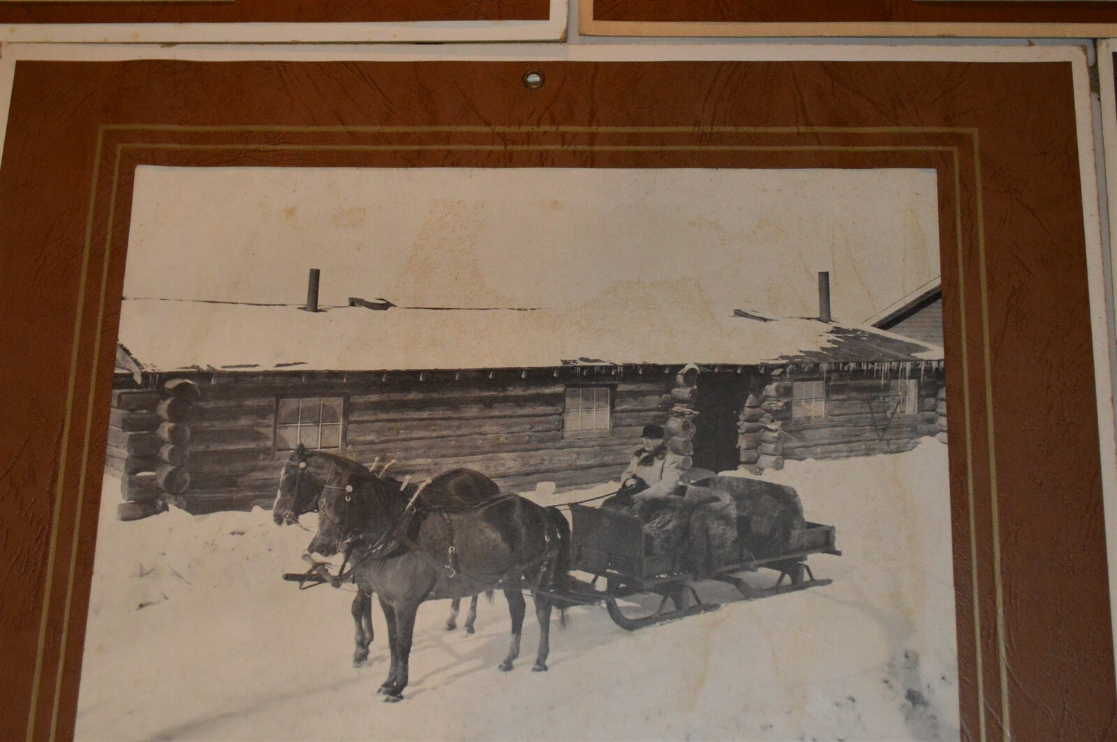 5 1946-1957 Earle Brown Calendars Camden Farms Mpls Morgan Horses