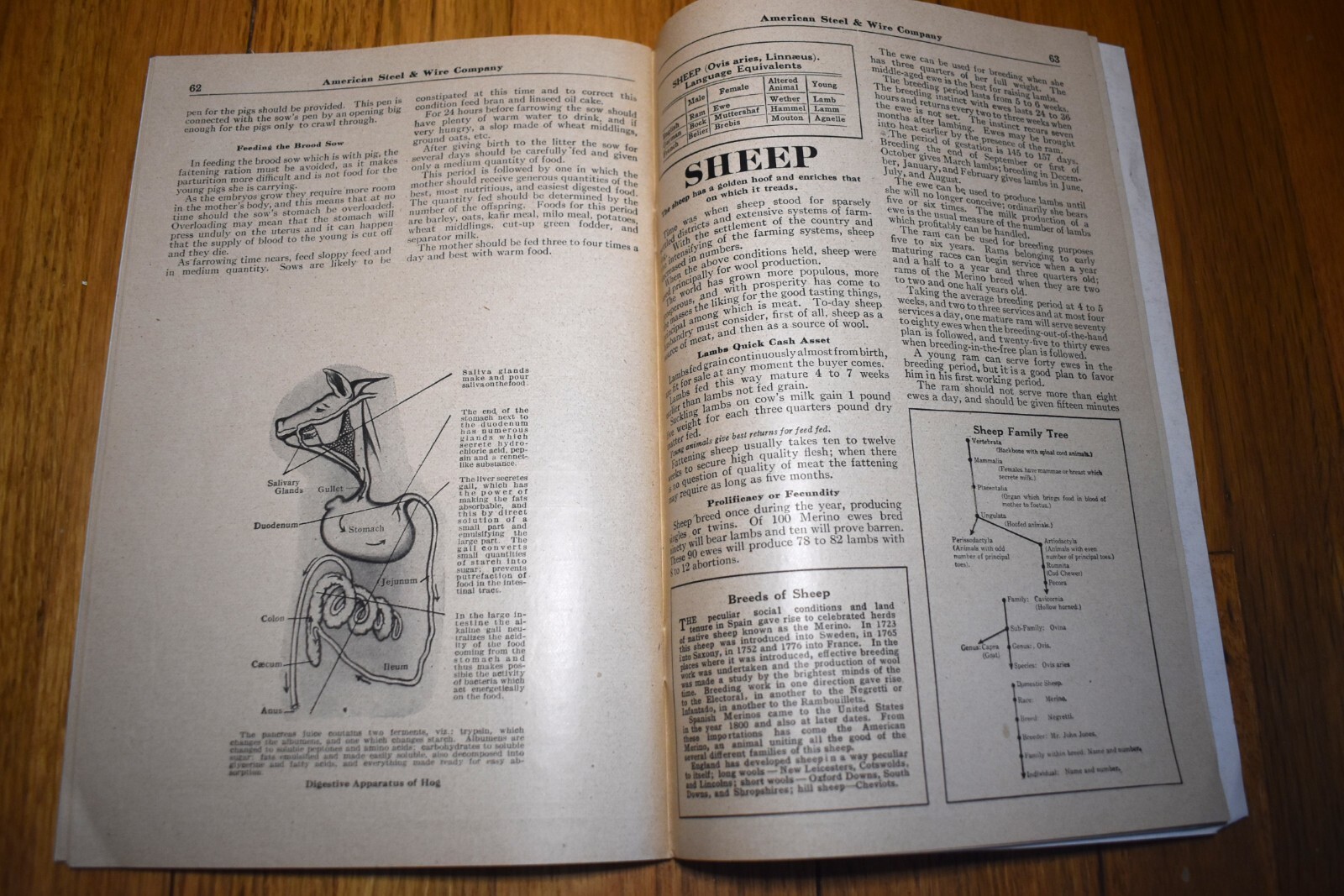 Vintage 1921 American Steel & Wire Farm Hog Sheep Cattle Fence Catalog Book