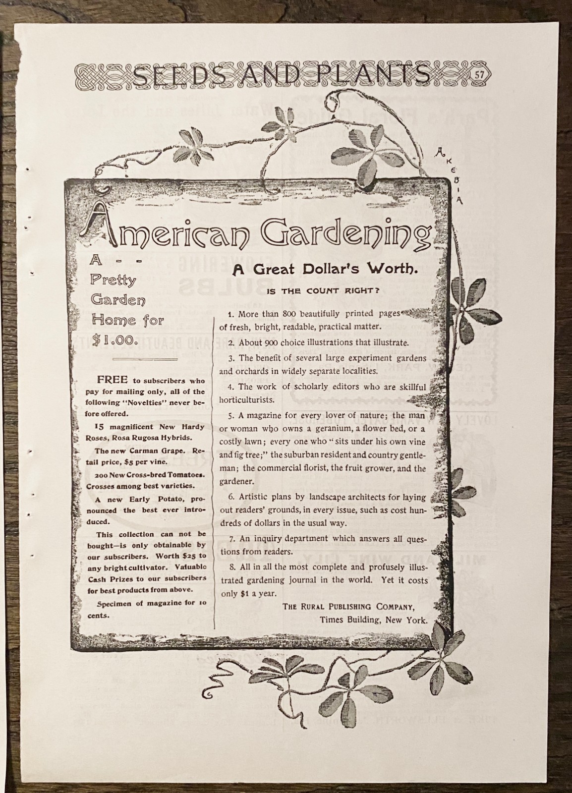 AMERICAN GARDENING Rural Publishing Co Magazine Subscription Offer1893 Print Ads