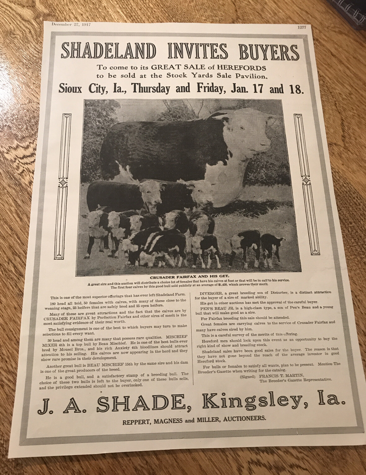 1917 Cattle Livestock Public Sale Poster – Sioux City – Iowa – Cow Advertising