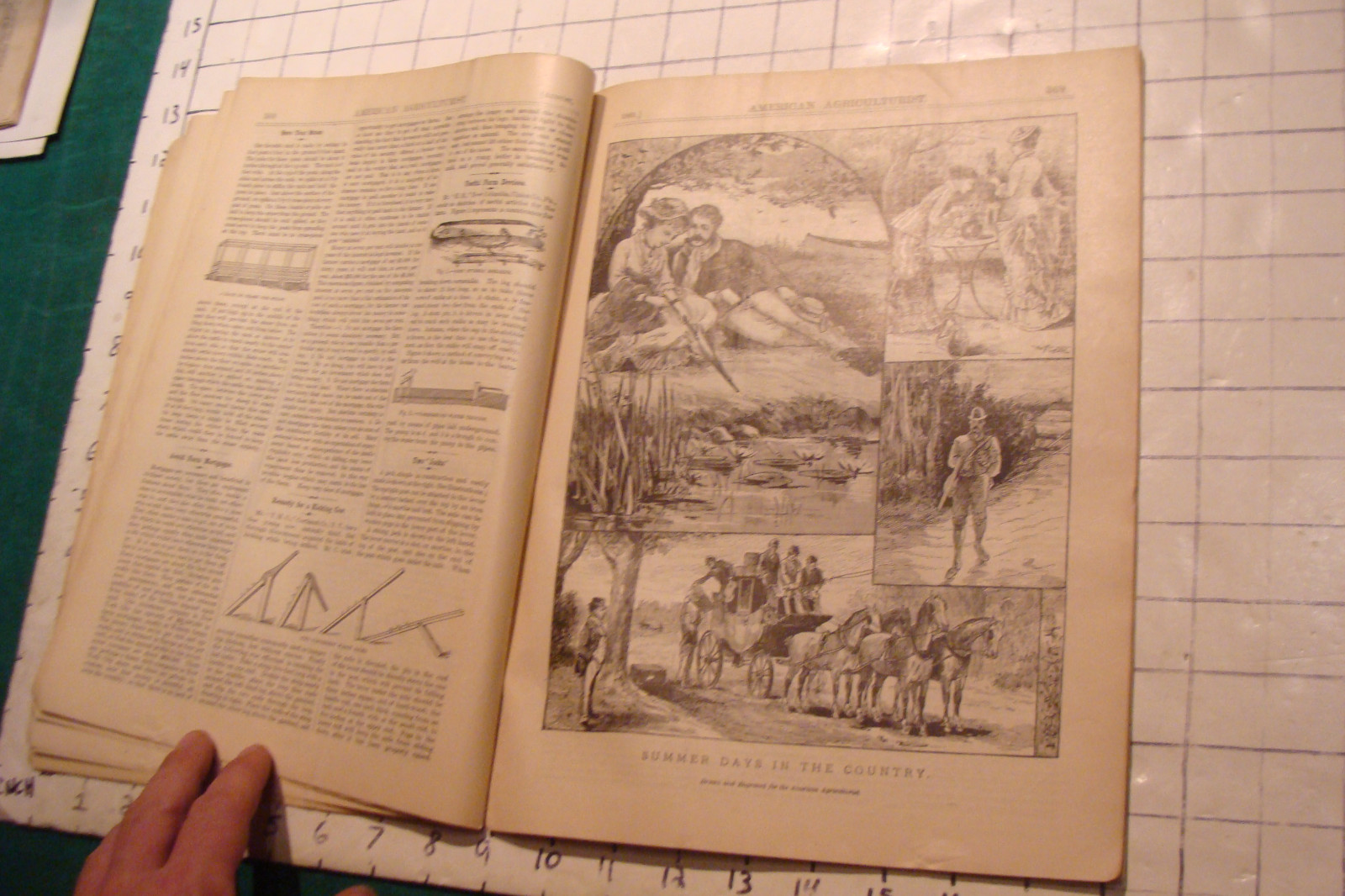 Vintage American Agriculturist 1883 august; great vignettes, horses running