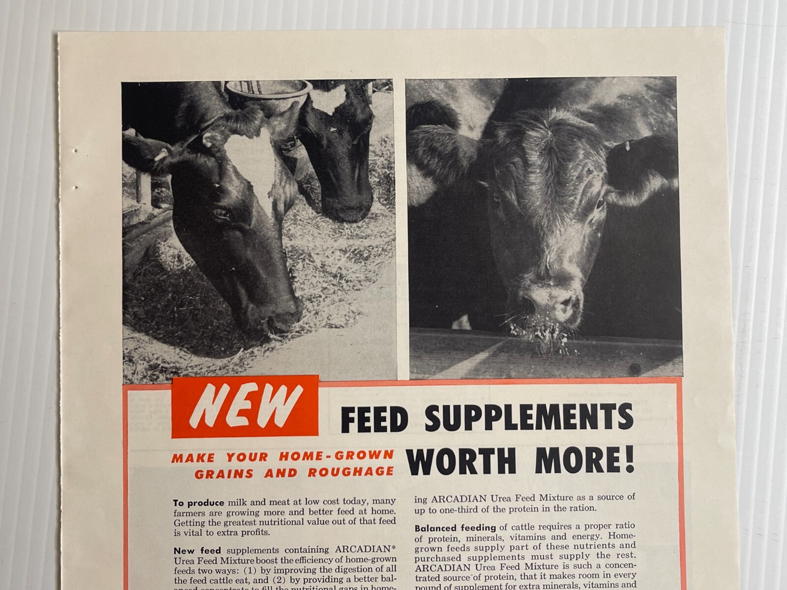1950s Arcadian Urea Feed Mixture – Original Print Advertisement (9.5in x 13in)
