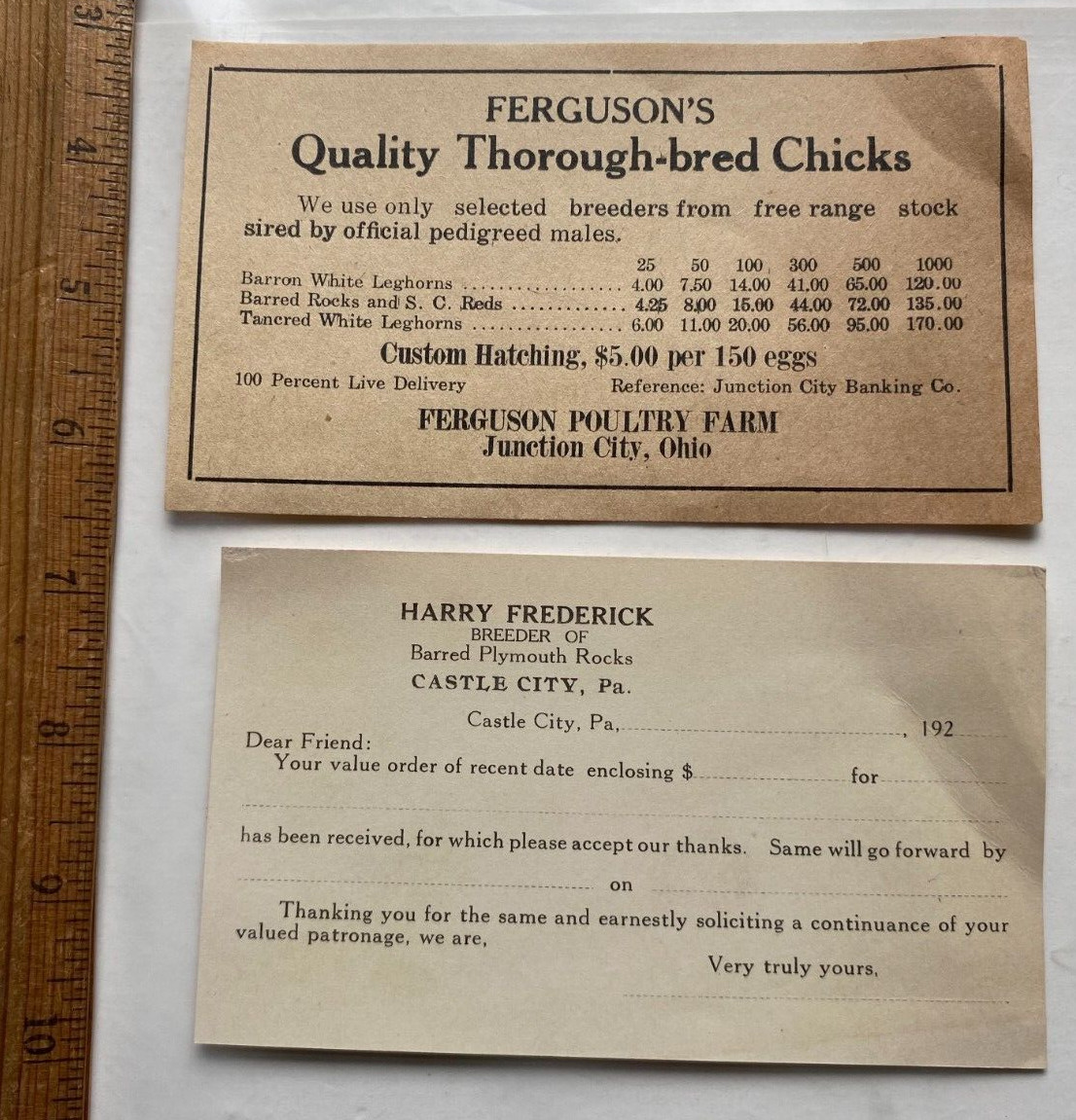 2- 1920s Order Forms for Chicks. Ferguson Farm Ohio & Frederick Breeders, PA