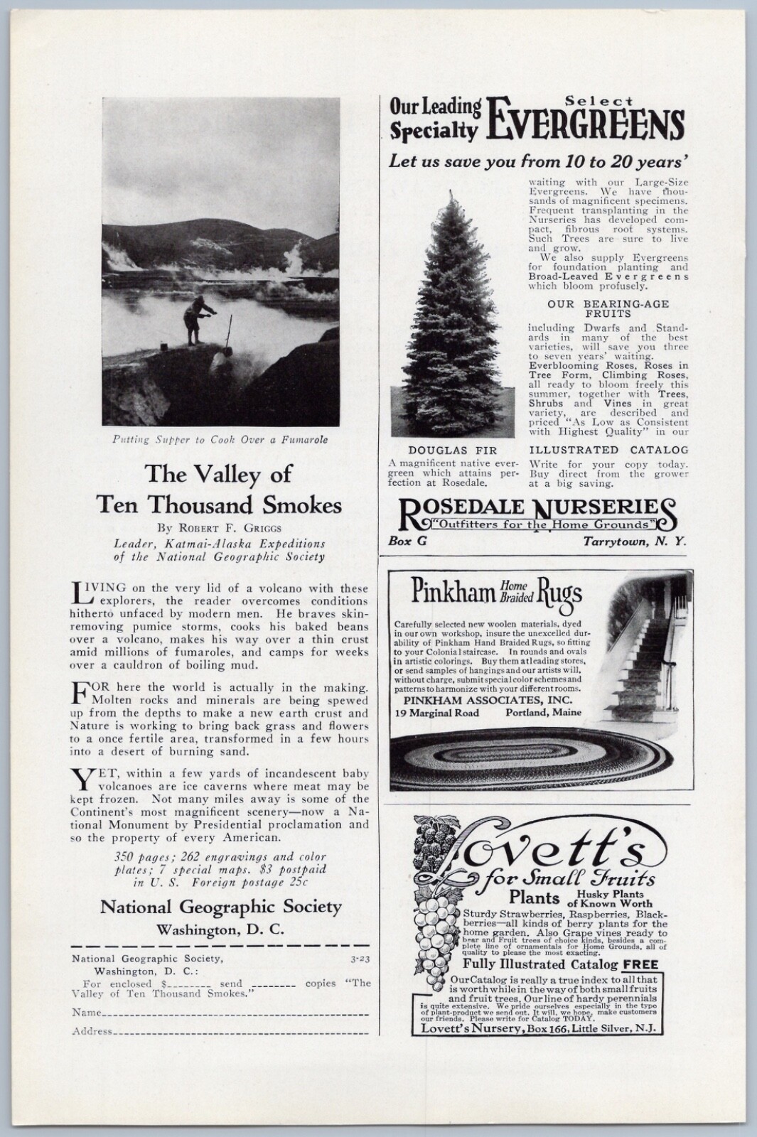 1923 Rosedale Nurseries Vintage Ad Evergreen Pine Trees Tarrytown New York
