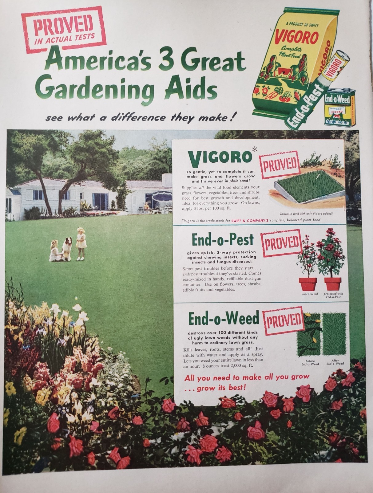 Vigoro Plant Food Print Ad 1956 Ephemera Wall Art Decor End o Pest