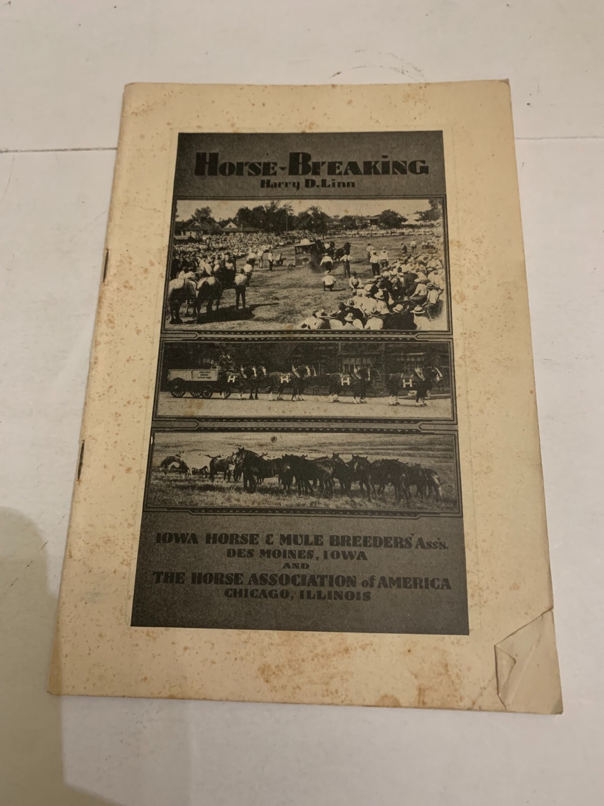1936 Horse Breeding Harry D. Linn Booklet Iowa Horse & Mule Breeders Association