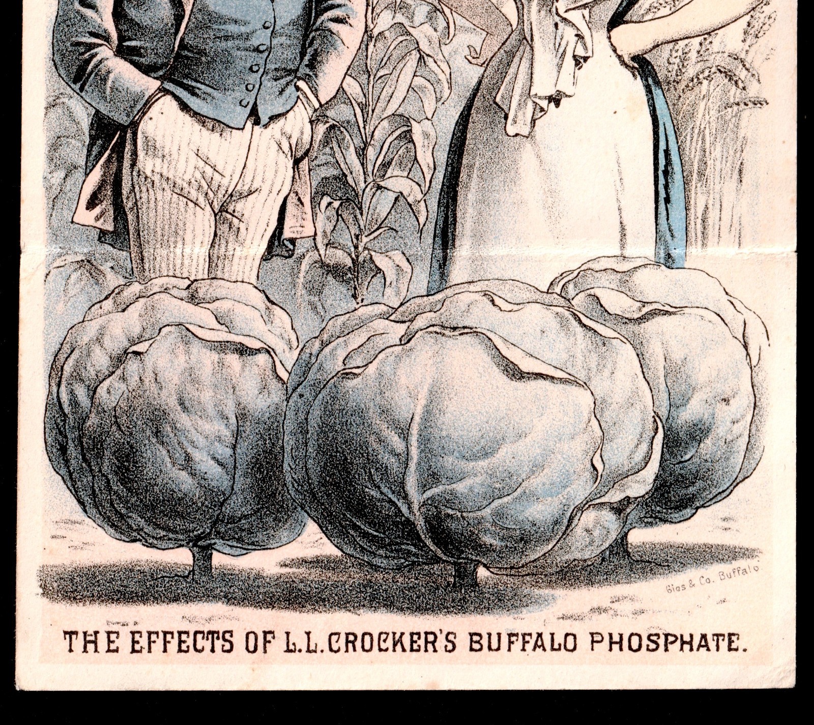 Fantasy Farm Buffalo Bone Fertilizer 1880 Calendar Victorian Trade Card SR.f.fBP
