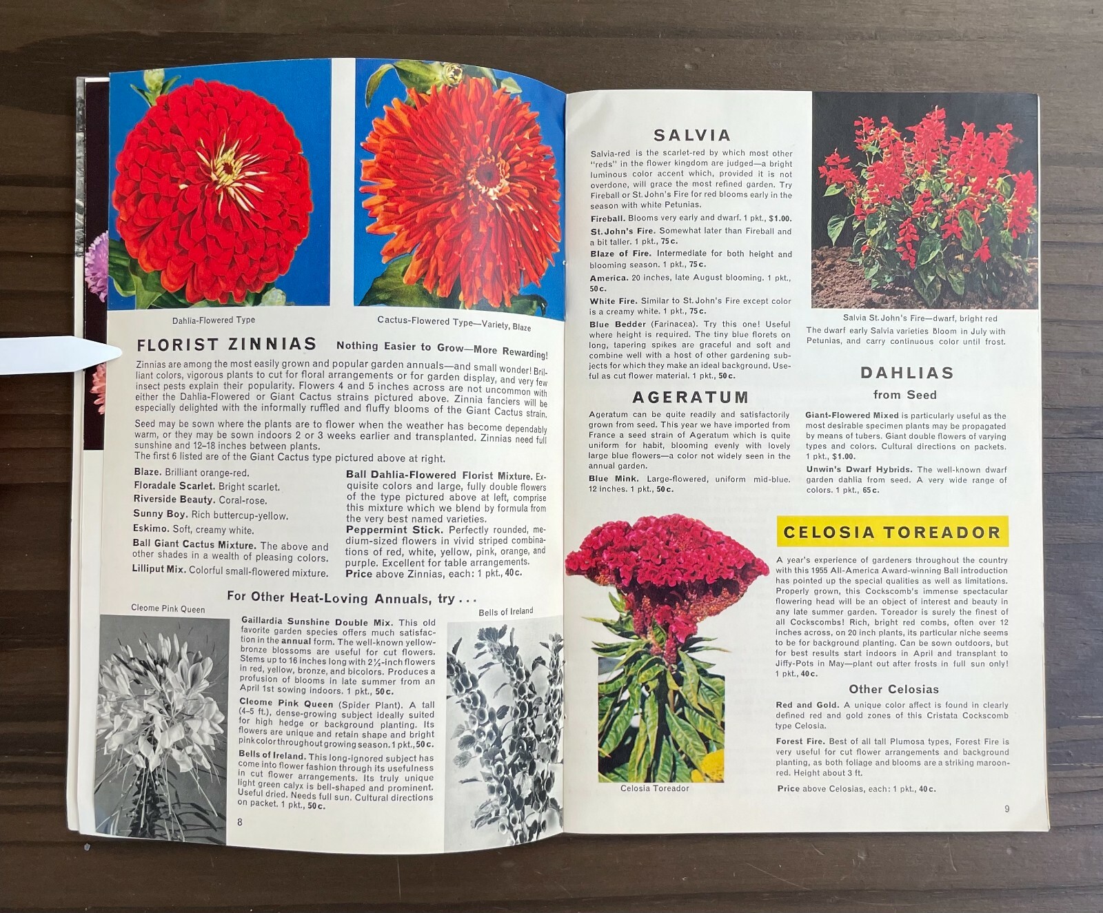 Seedcraft Vintage Garden Flower Catalog Rainbow Coleus Geo J Ball 1950s Booklet