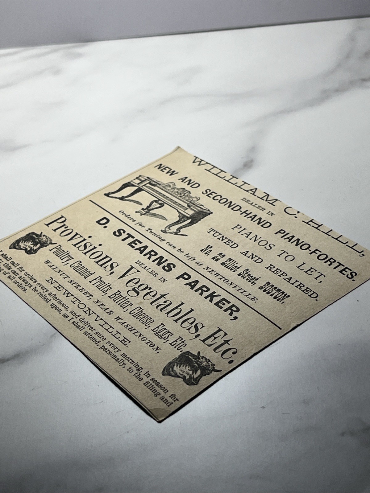1900’s Print Ad Trees Plants And Flowers Nurseries And Greenhouses W.C. Strong