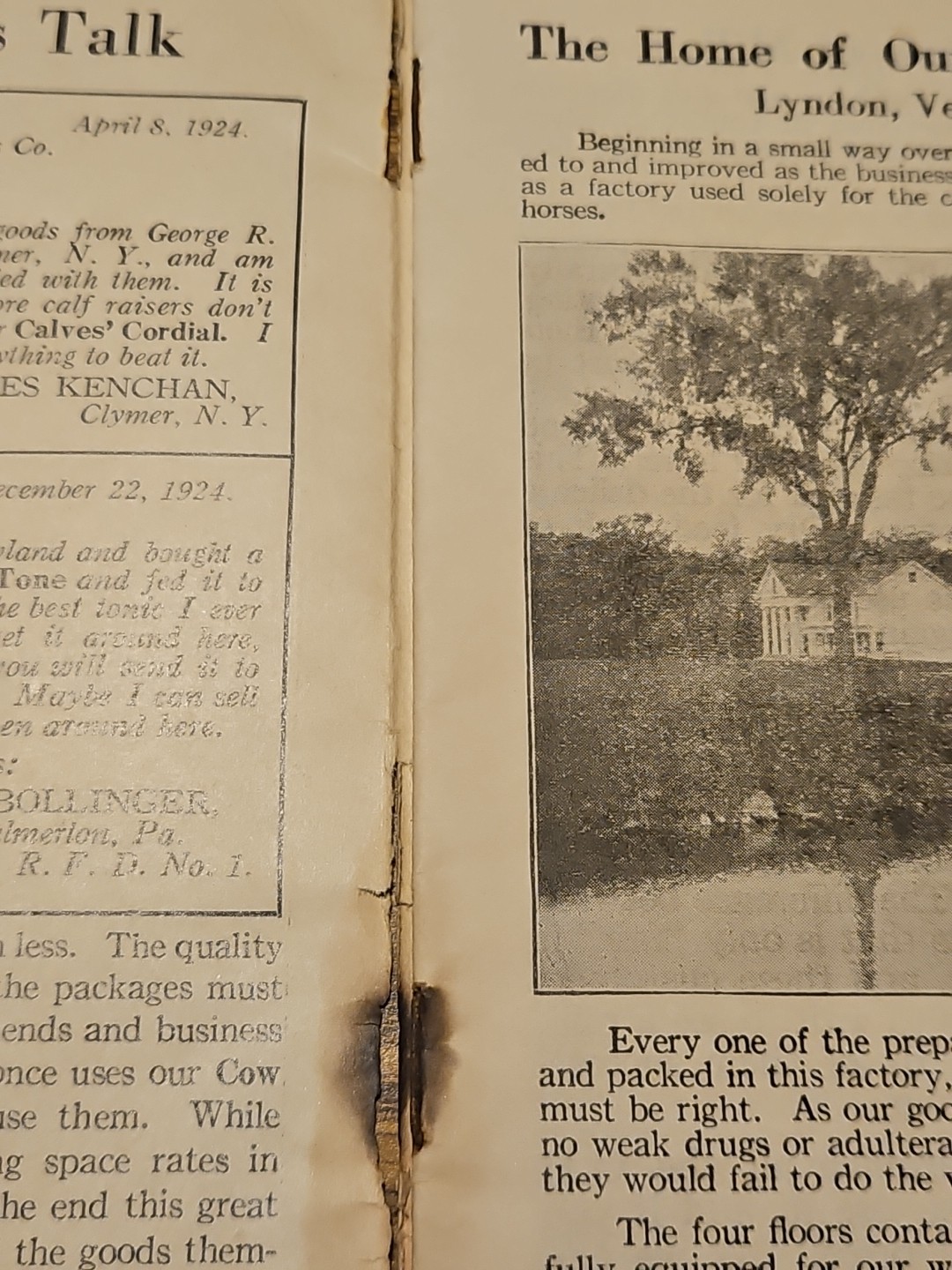 Vintage 1924 Our Husbands Company Cow Book, Lyndon, Vermont Cowtone Cows Calves