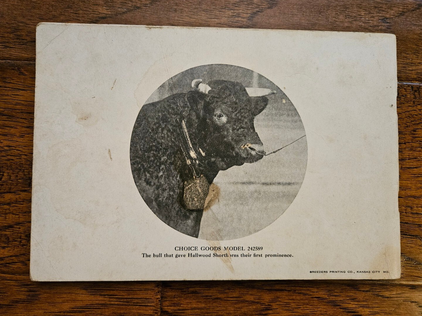 Shorthorn Cattle Dispersion Carthage Missouri 1916 with 65 Lots Breeders