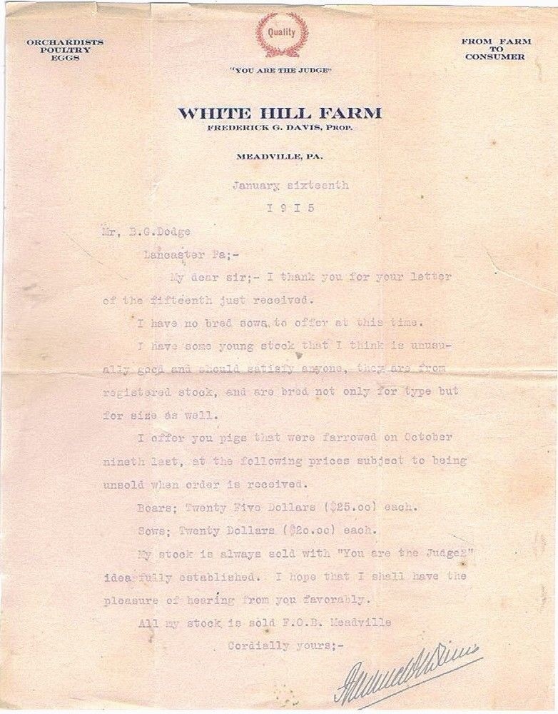White Hill Farm Letter Head – Pigs for Sale, January Sixteenth 1915
