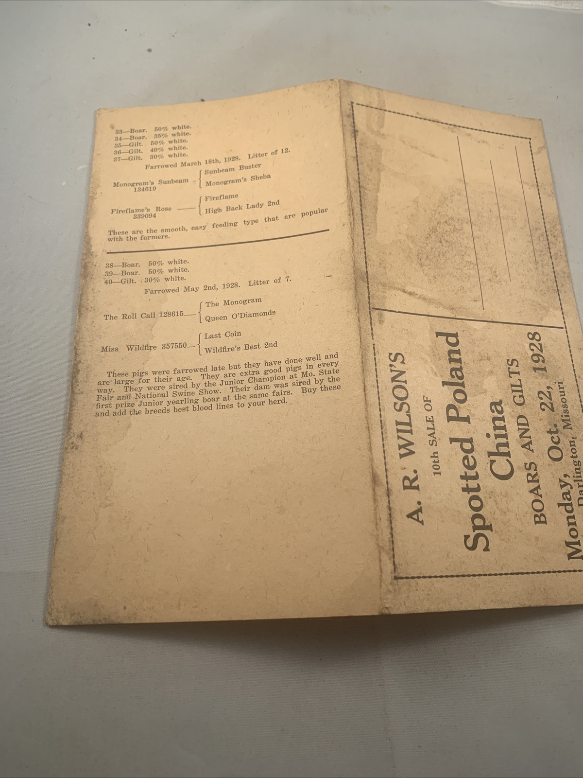 1928 Hog Sale Brochure Wilson’s Prolific Poland China Pig Farm Darlington MO