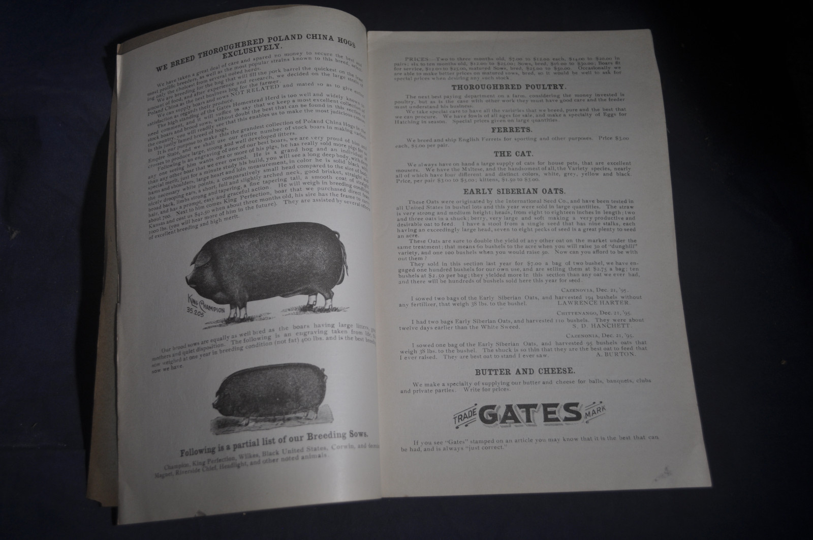 Ca 1896 Gates Homestead Farm Catalog Hogs, Poultry, Ferrets, Chittenango NY