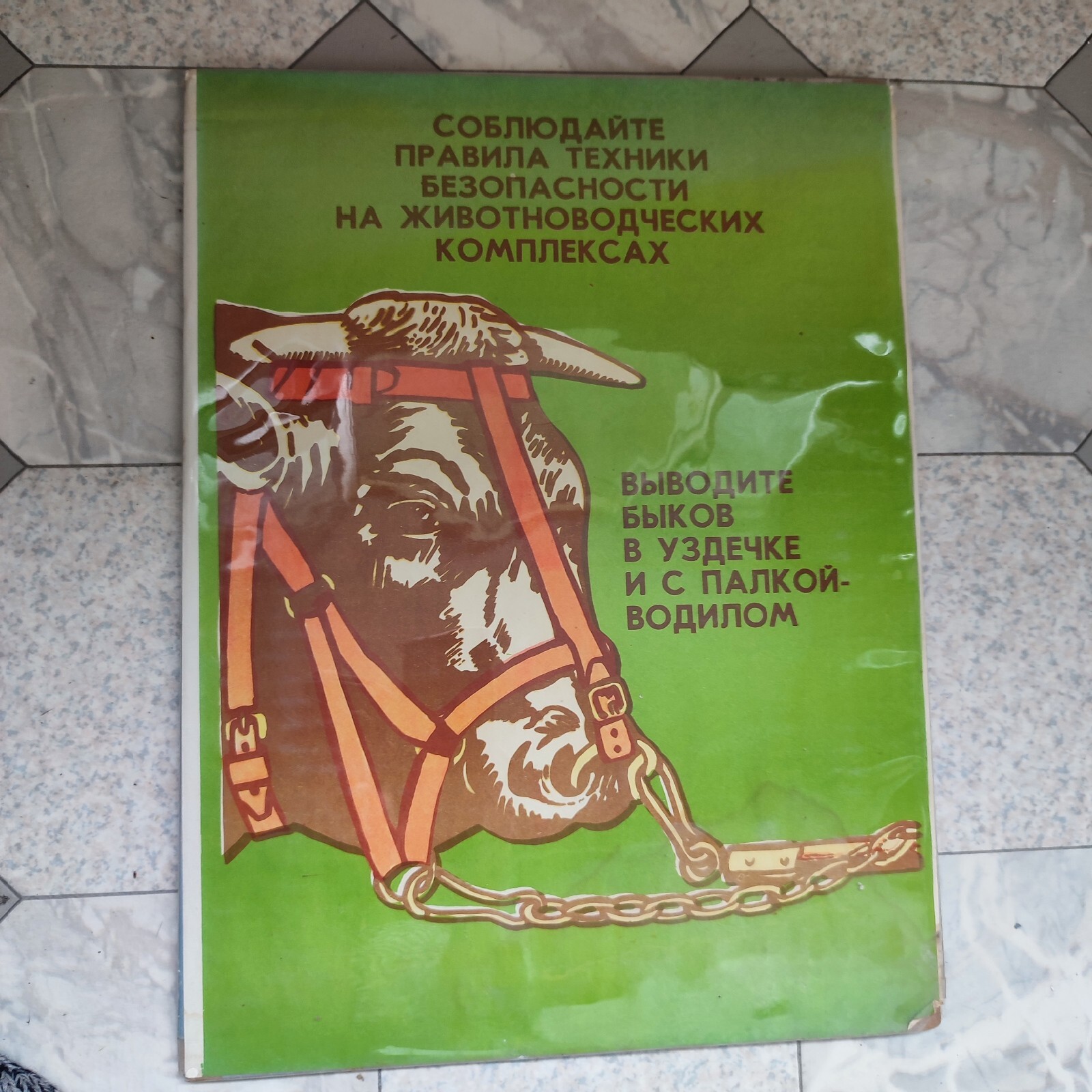 Vintage original poster sign Caw Bull Animals Agriculture Farming