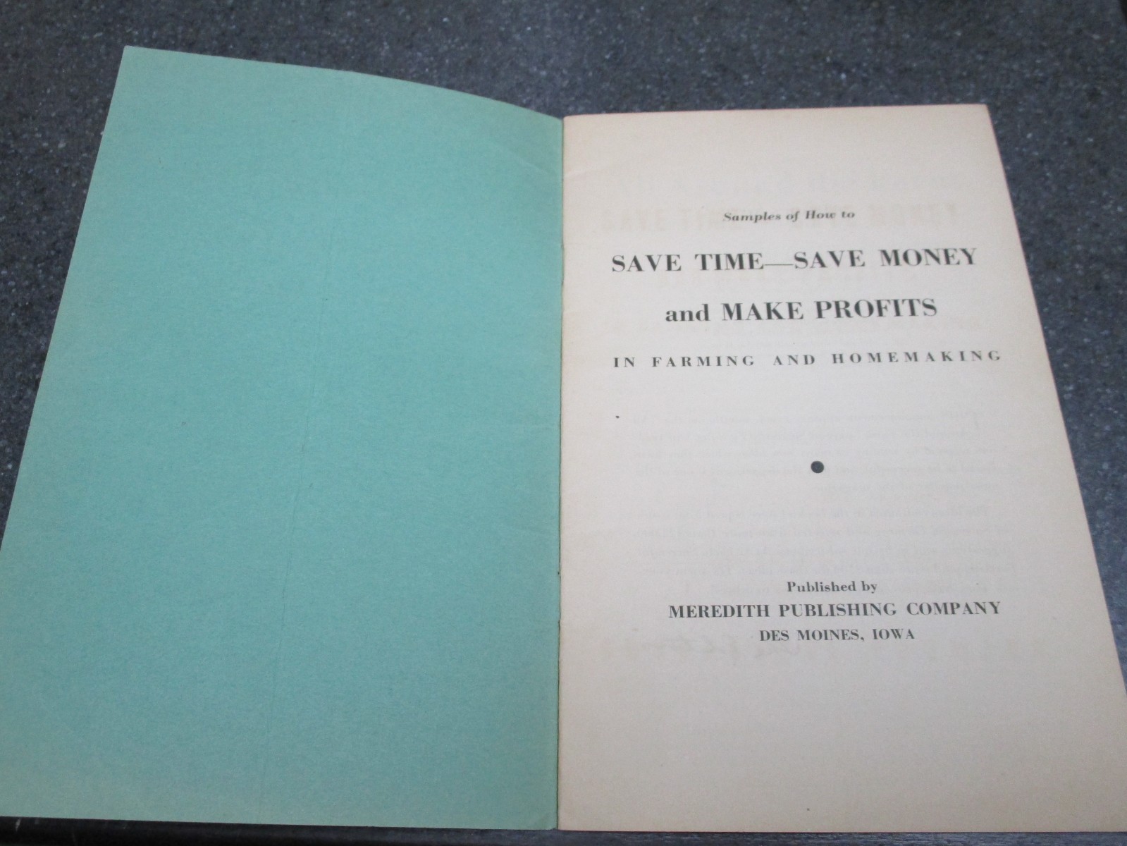 SUCCESSFUL FARMING BOOKLET BROCHURE SAVE TIME SAVE MONEY AND MAKE PROFITS