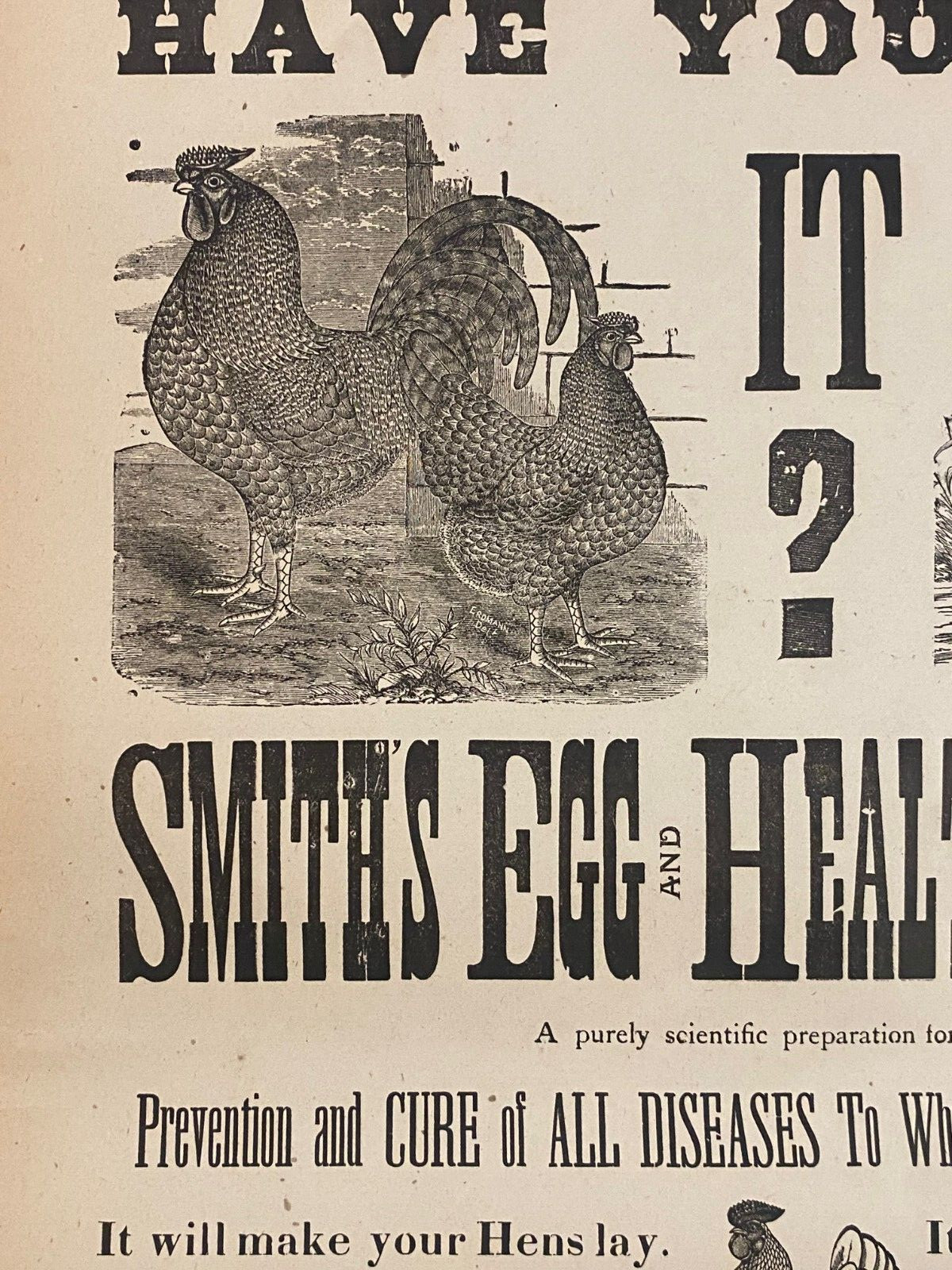 Antique 1900&rsquo;s Dr.Smith&rsquo;s Egg & Chicken Broadside Poster Sign, Lee, MASS Kitchen