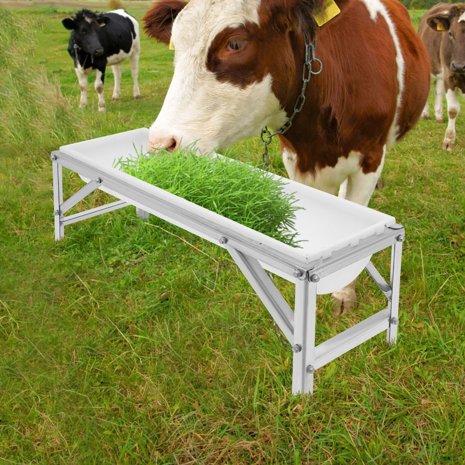 Livestock Feed Trough, Long Large Capacity Feeder, Feed Trough with Stand