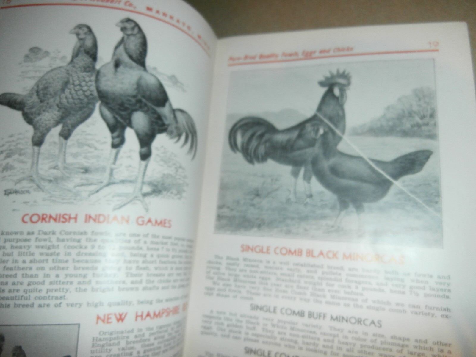 Vintage 1945 Neubert&rsquo;s Neubert Poultry + Supply Catalog Mankato MN