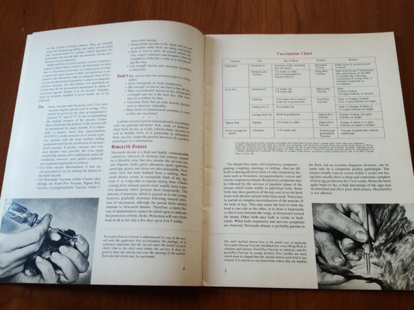 Lederle Labs * Control Of Poultry Diseases Mack Drug Co Middletown New York 1951
