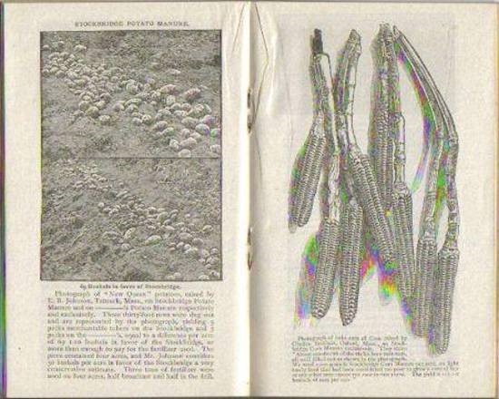 Original 1894 Bowker Company Illustrated Calendar & Memorandum Booklet