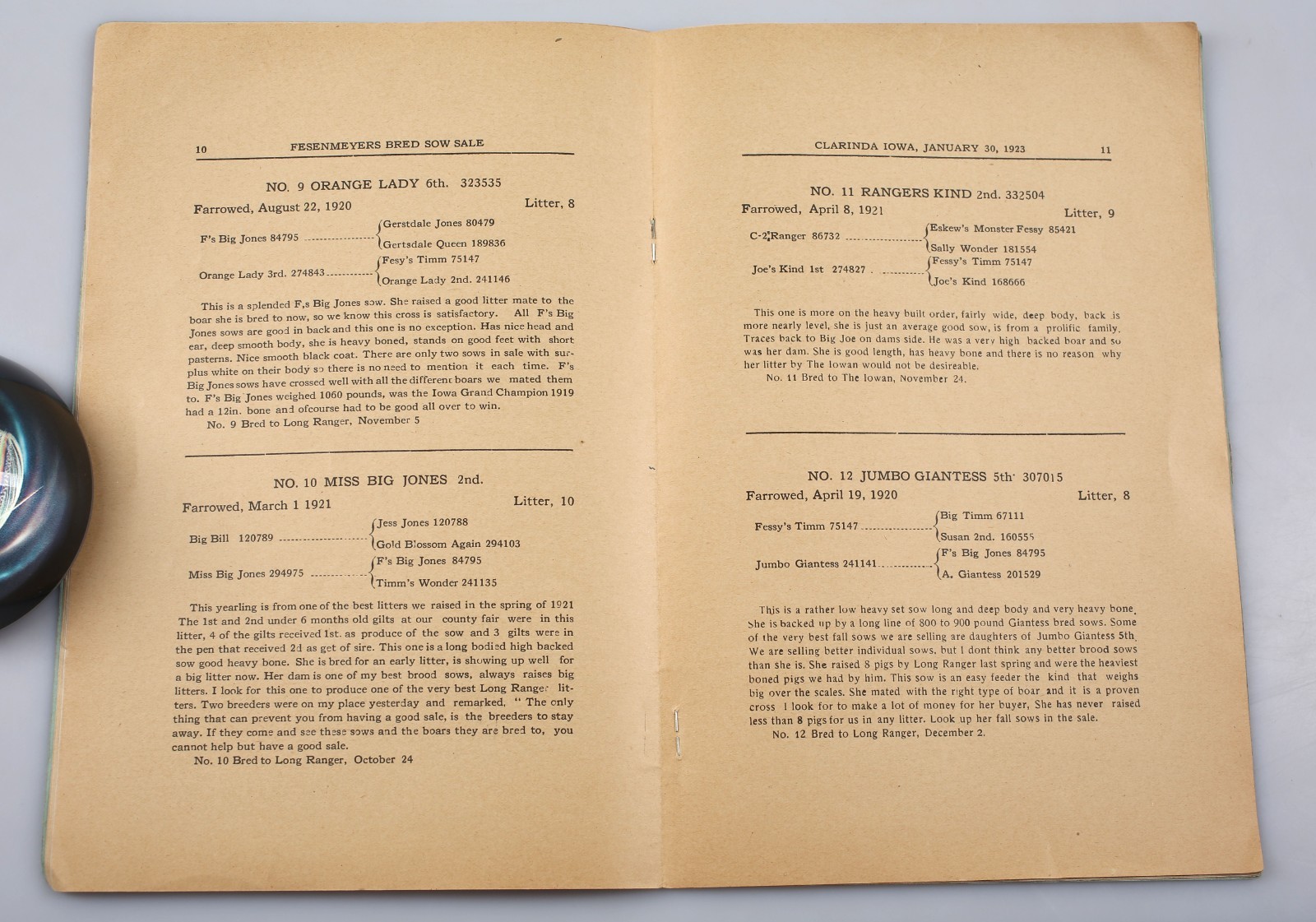 Vintage 1923 Fesenmeyer&rsquo;s Bred Sow Sale Catalog Clarinda Iowa