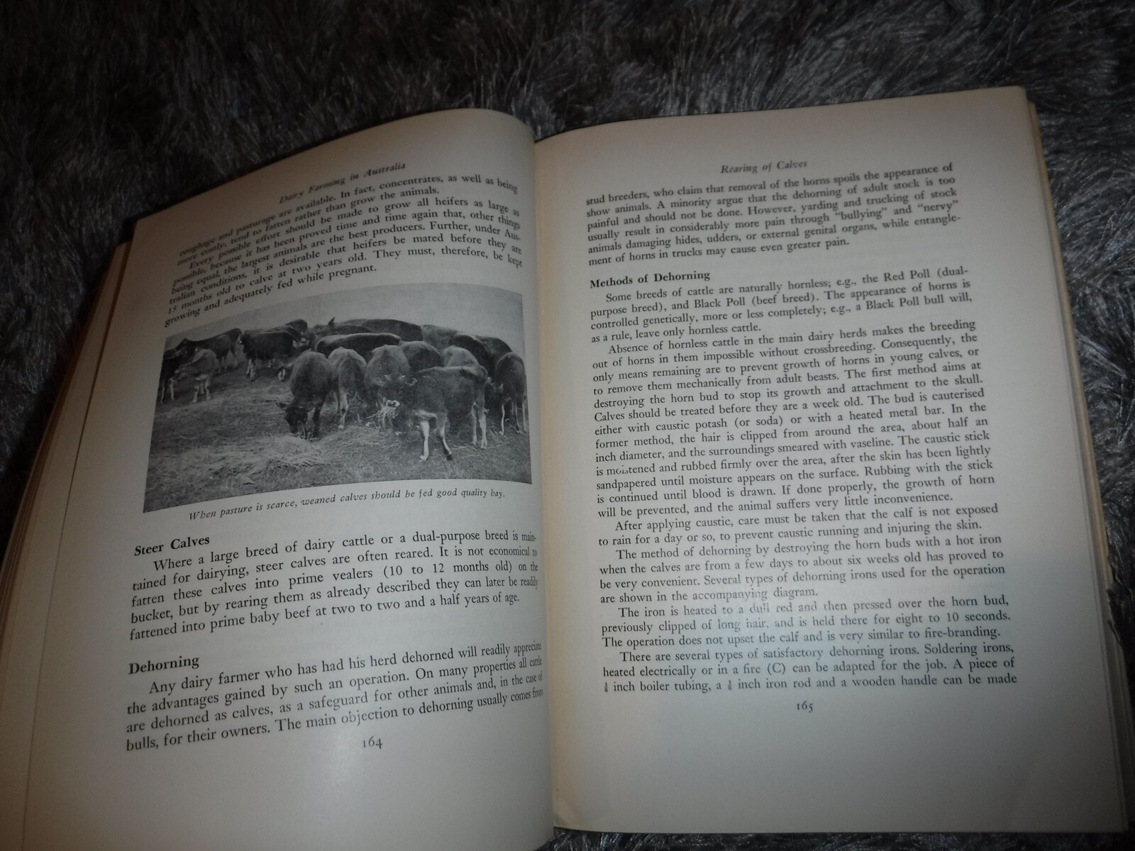 DAIRY FARMING IN AUSTRALIA – VICTORIAN ED VINTAGE 1949 BY HON. R T POLLARD