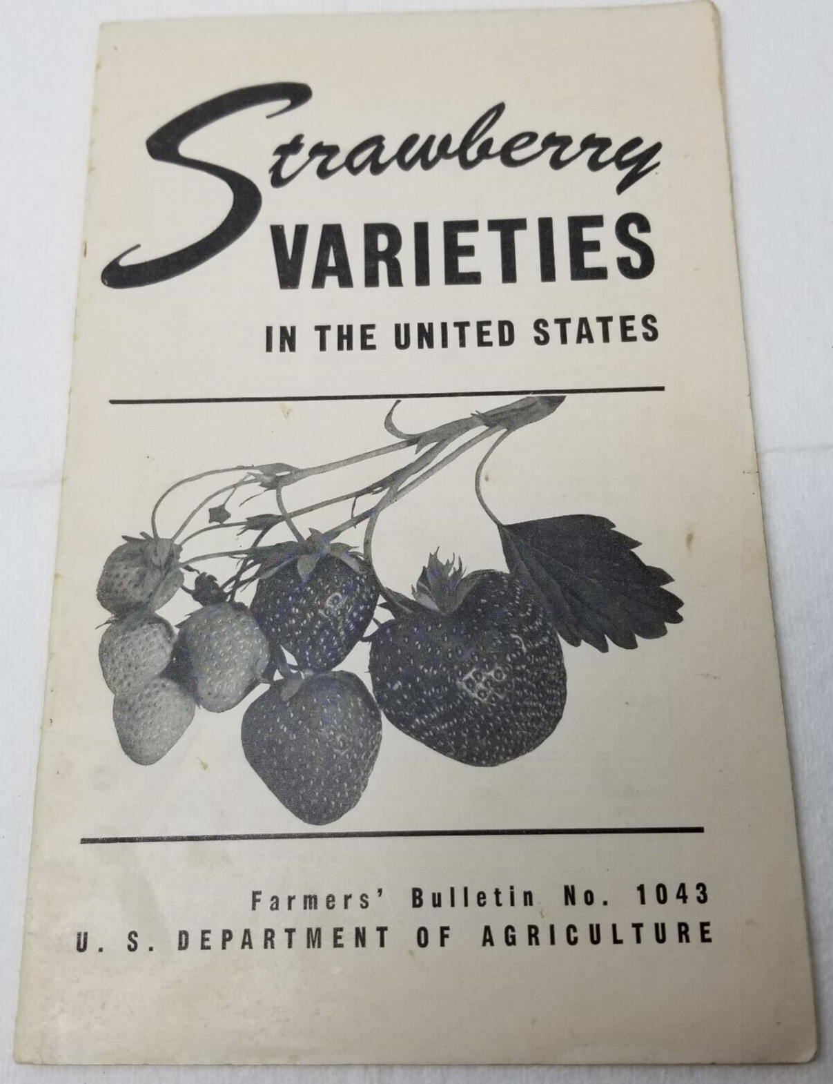 Strawberry Varieties USA 1948 Farmers&rsquo; Bulletin Booklet 1043 USDA Photos Charts