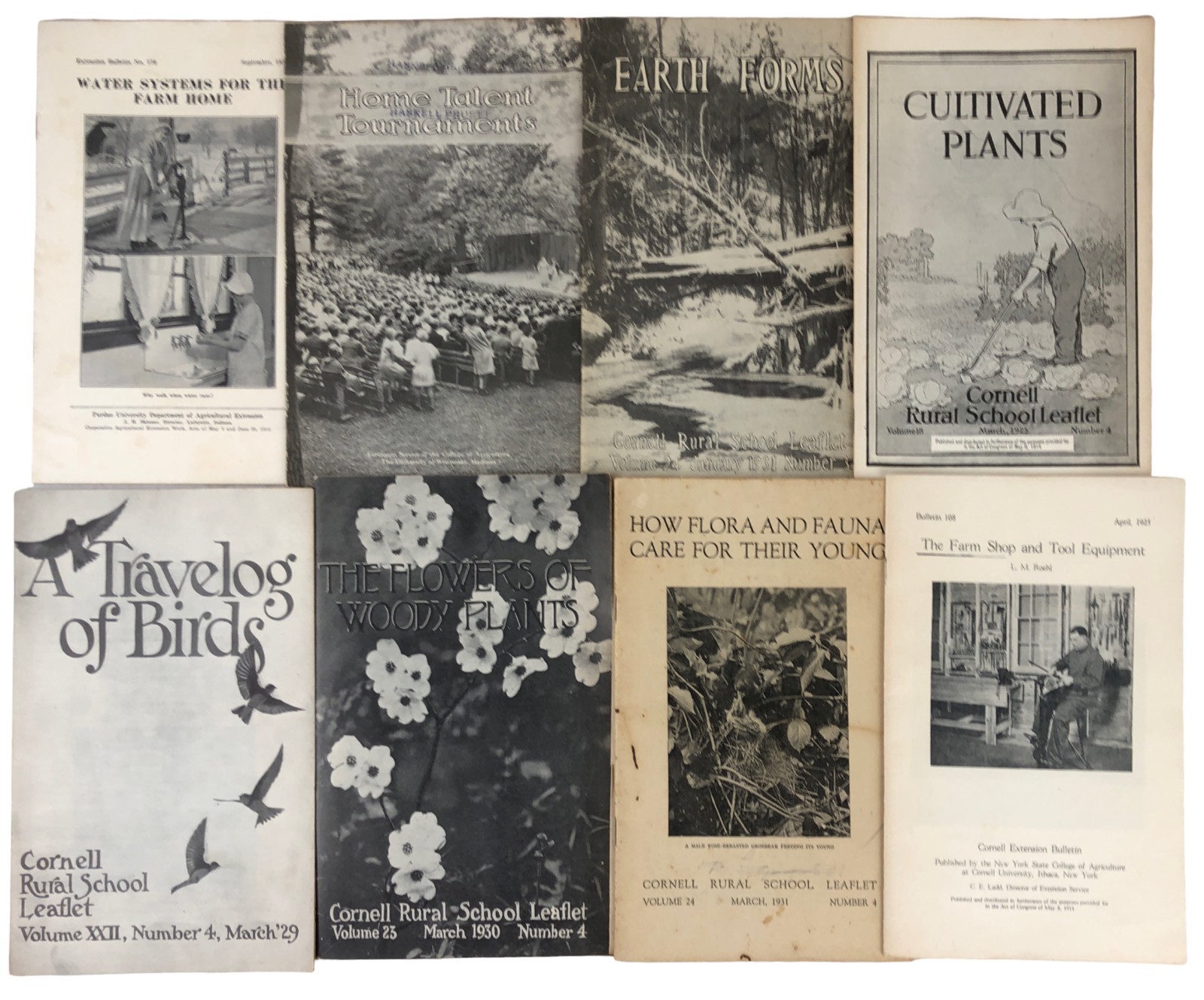 Lot 36 Antique Vtg USDA Farmer Bulletins Milk Plumbing Repairs Farmstead Dairy
