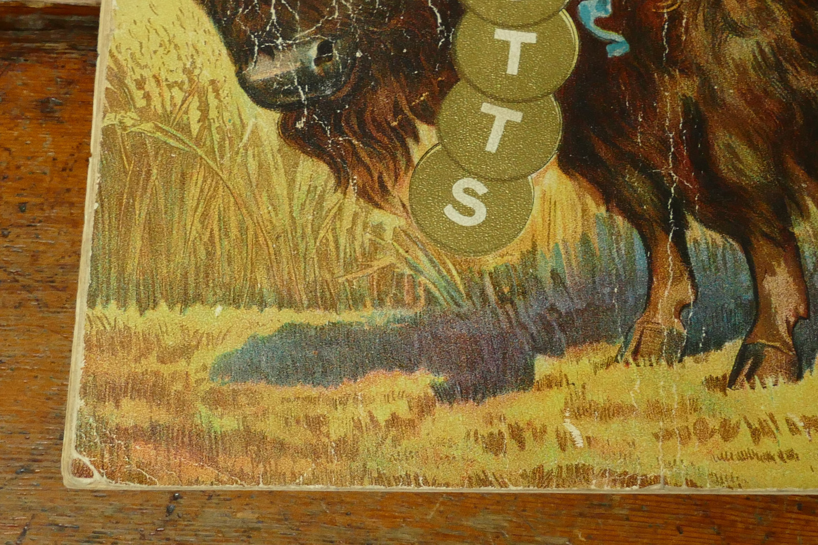 Antique 1904 Buffalo Pitts Farm Implement Catalog Threshers Buffalo NY