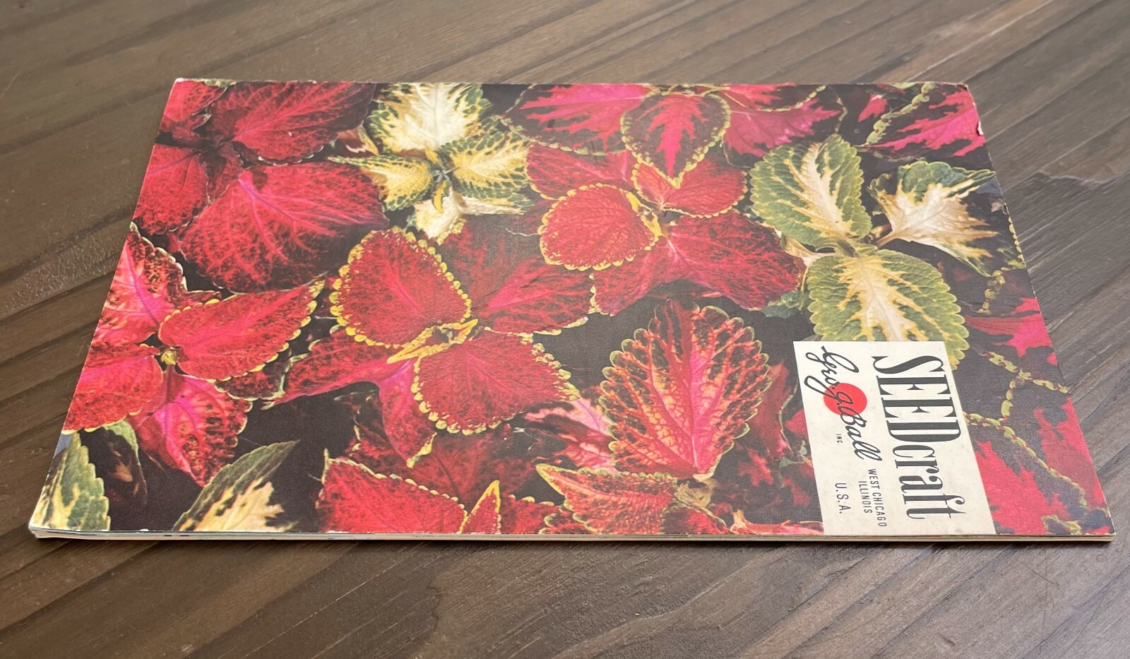 Seedcraft Vintage Garden Flower Catalog Rainbow Coleus Geo J Ball 1950s Booklet