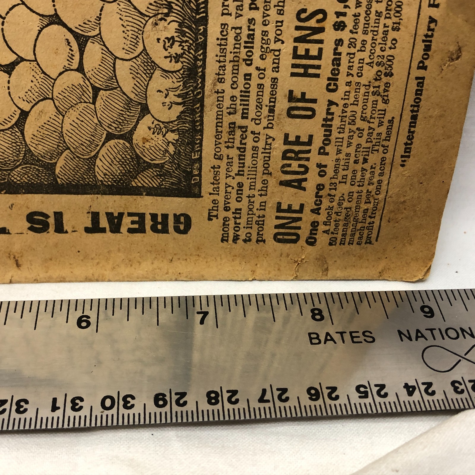 c1900s Money in Poultry Booklet International Poultry Food