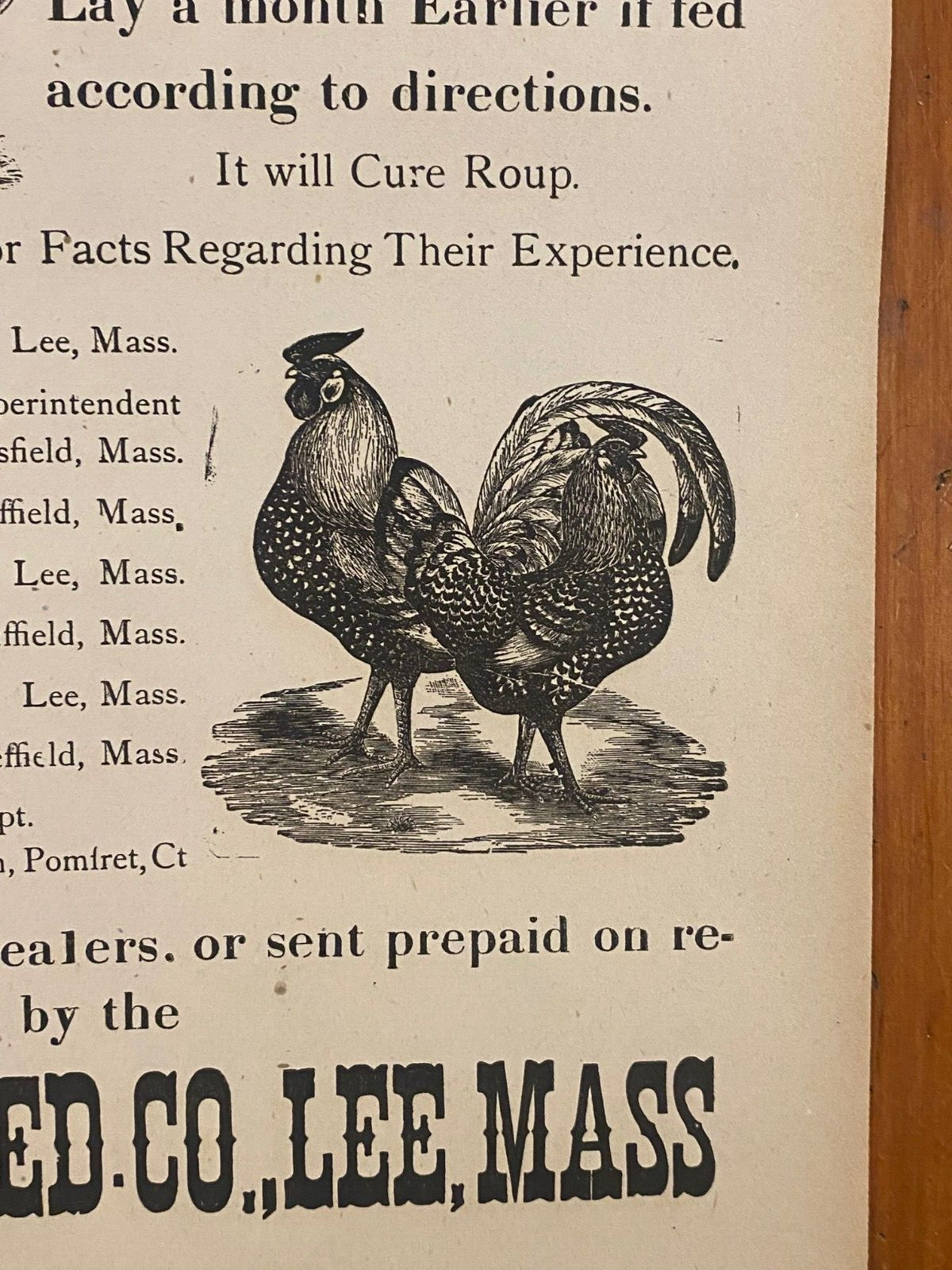 Antique 1900&rsquo;s Dr.Smith&rsquo;s Egg & Chicken Broadside Poster Sign, Lee, MASS Kitchen