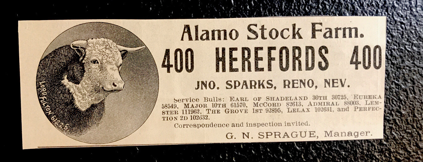 1902 Alamo Stock Farm Cattle Cow Advertising – Reno – Nevada