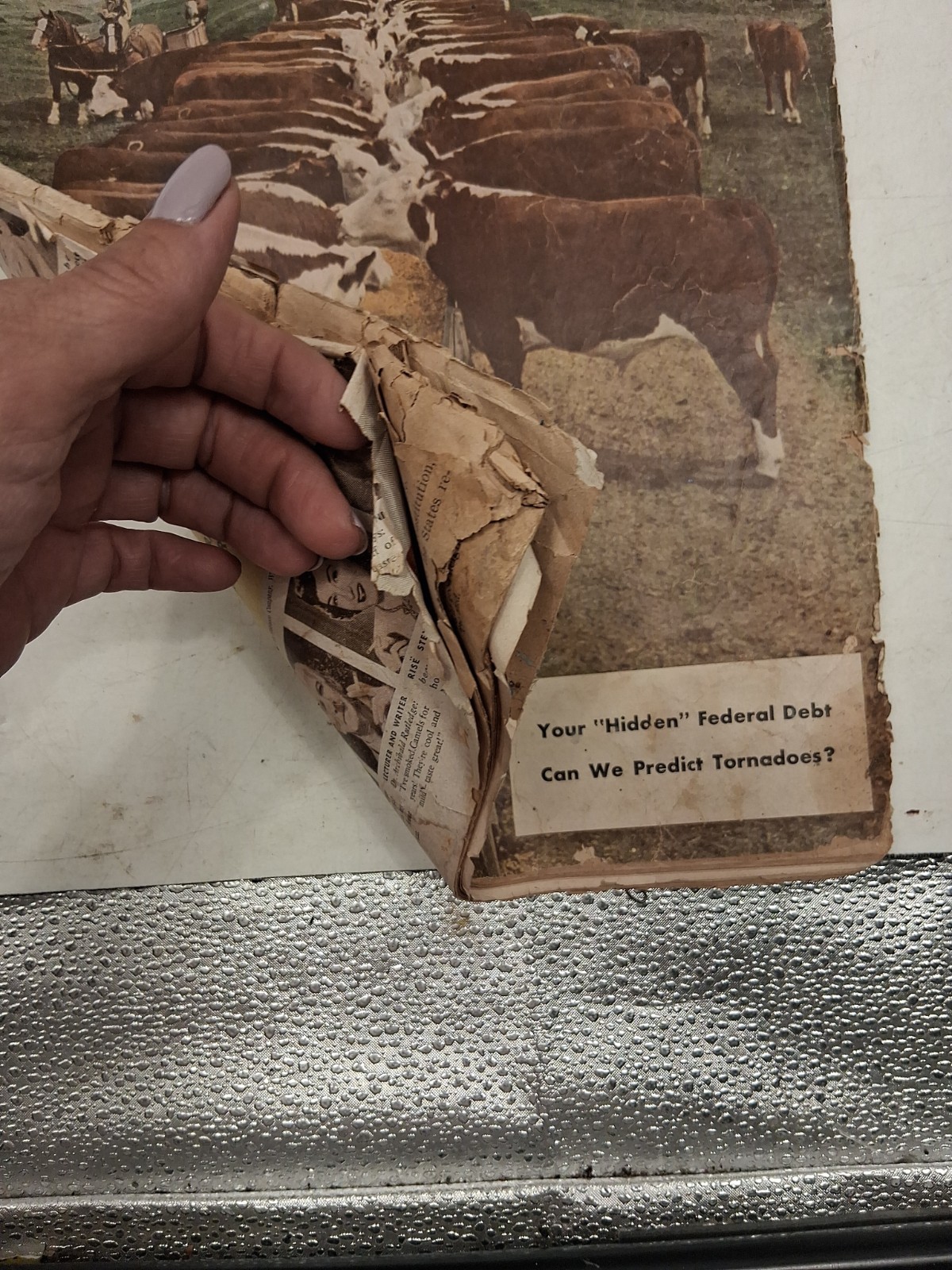 Vtg Capper&rsquo;s Farmer July 1951 Cattle Agriculture 1945 Country Gentleman Damaged