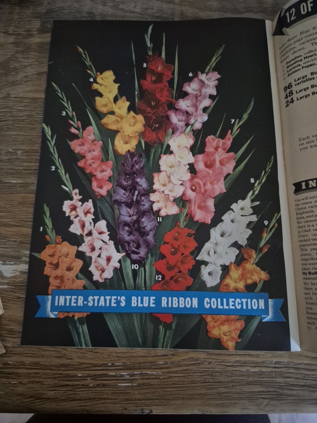 1940 Spring Garden Catalog Inter-State Nurseries Hamburg Iowa Roses Fruit Flower