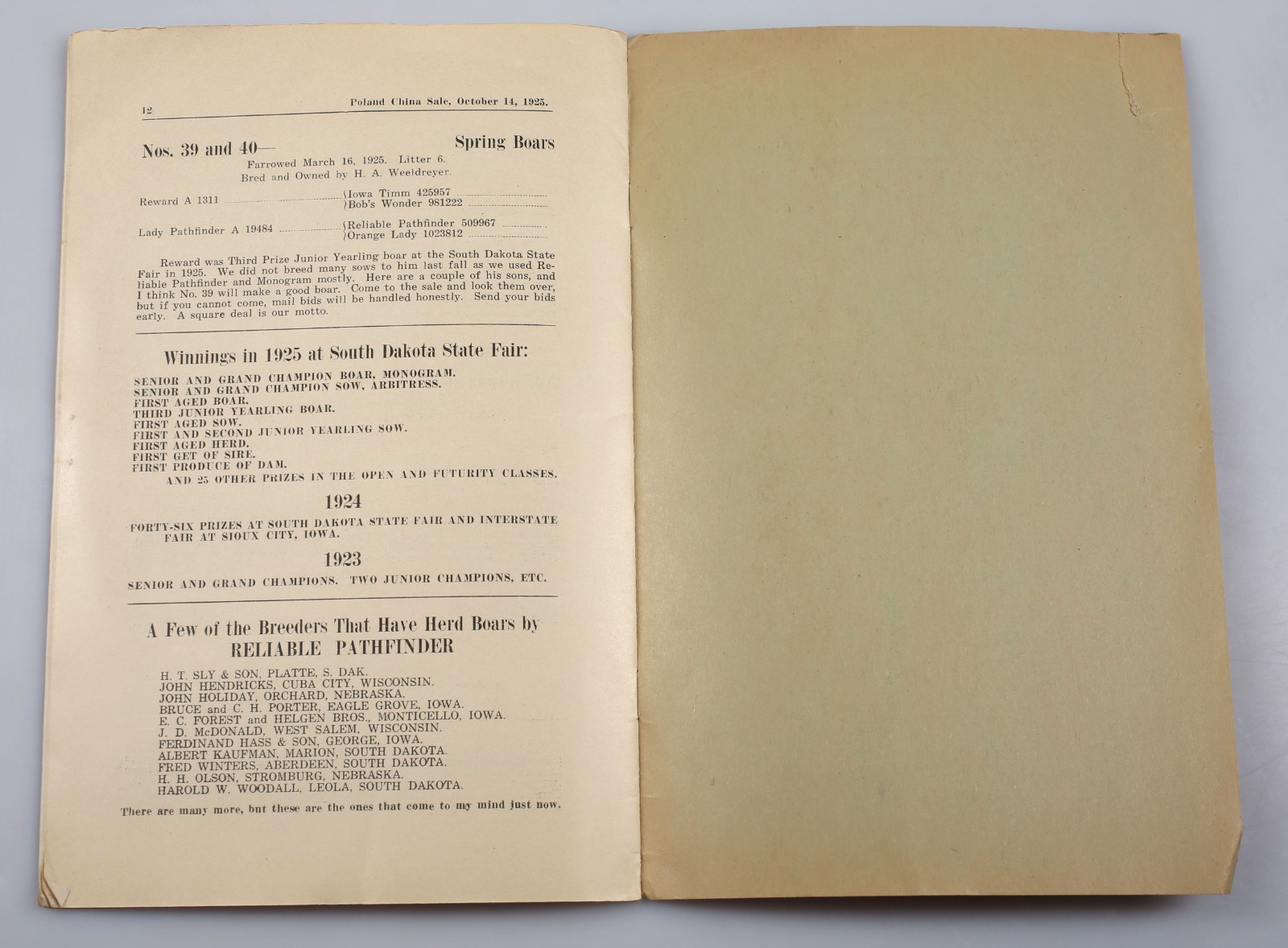 Vintage 1925 Poland China Pig Sale Cholera Immuned Emery South Dakota