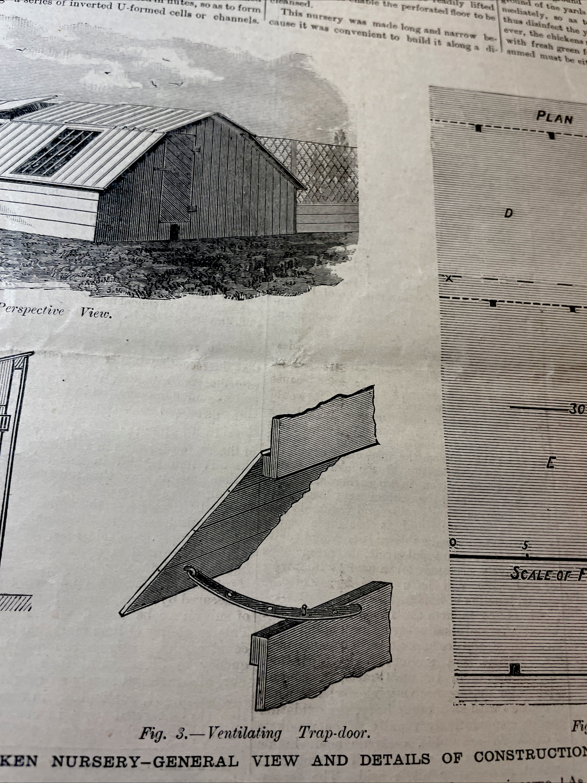 1883 Renwick’s Chicken Nursery Farm Advertising Engraving & Article – 10×15